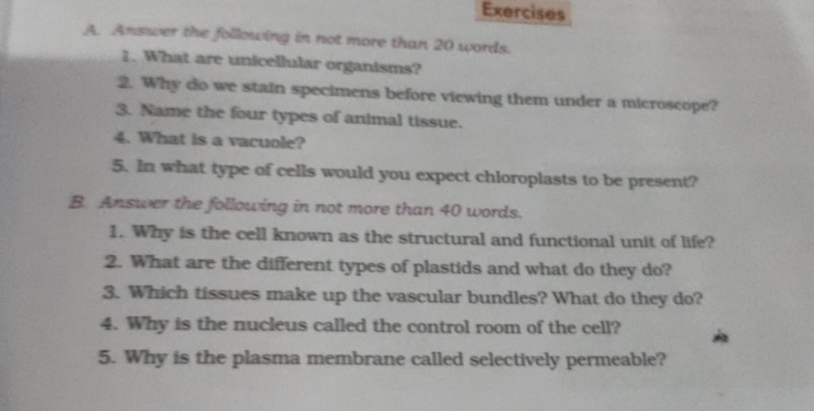 Exercises
A. Answer the following in not more than 20 words.
1. What a