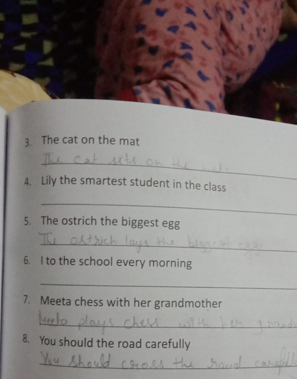 3. The cat on the mat 
4. Lily the smartest student in the class 
5. T