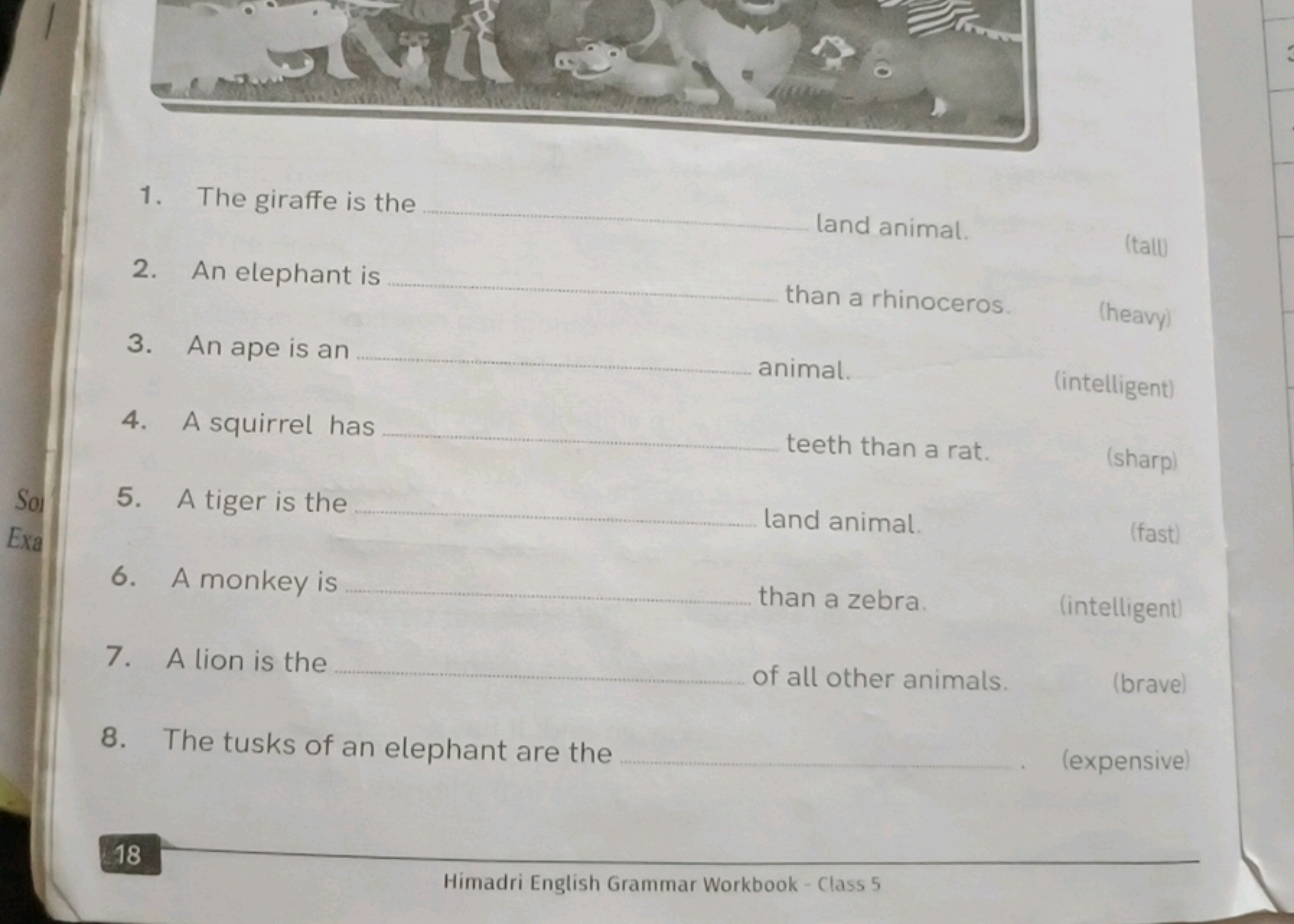 1. The giraffe is the  land animal.
2. An elephant is  than a rhinocer