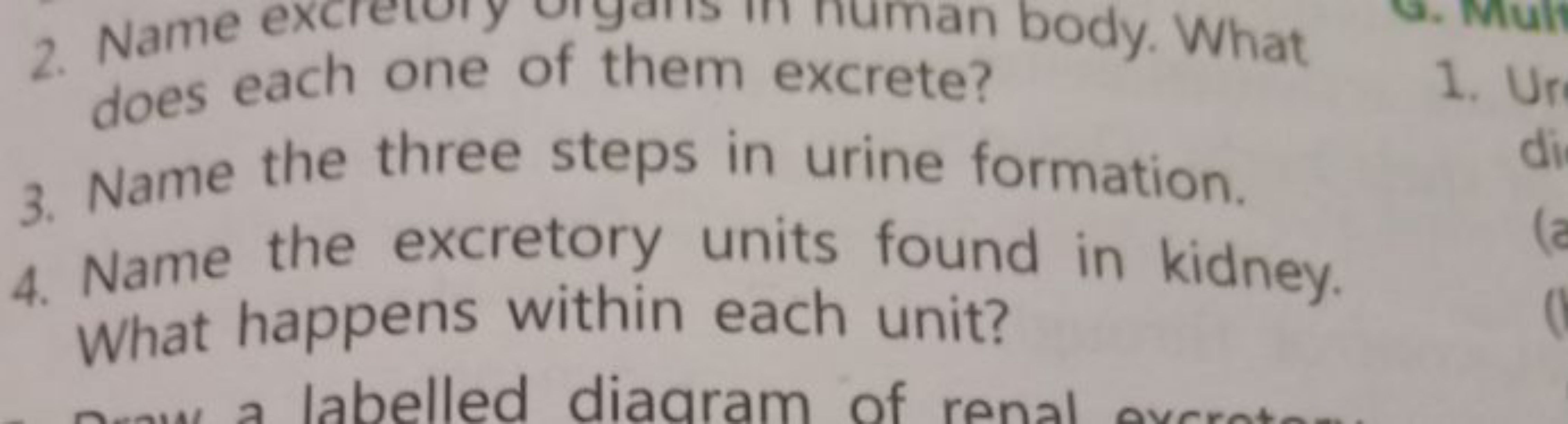 does each one of them excrete? body. What
3. Name the three steps in u