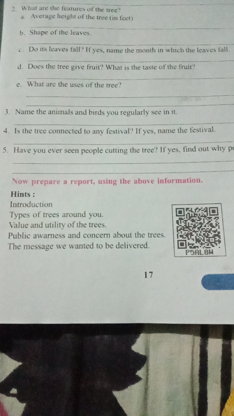 2. What are the features of the tree?
a. Average height of the tree (i