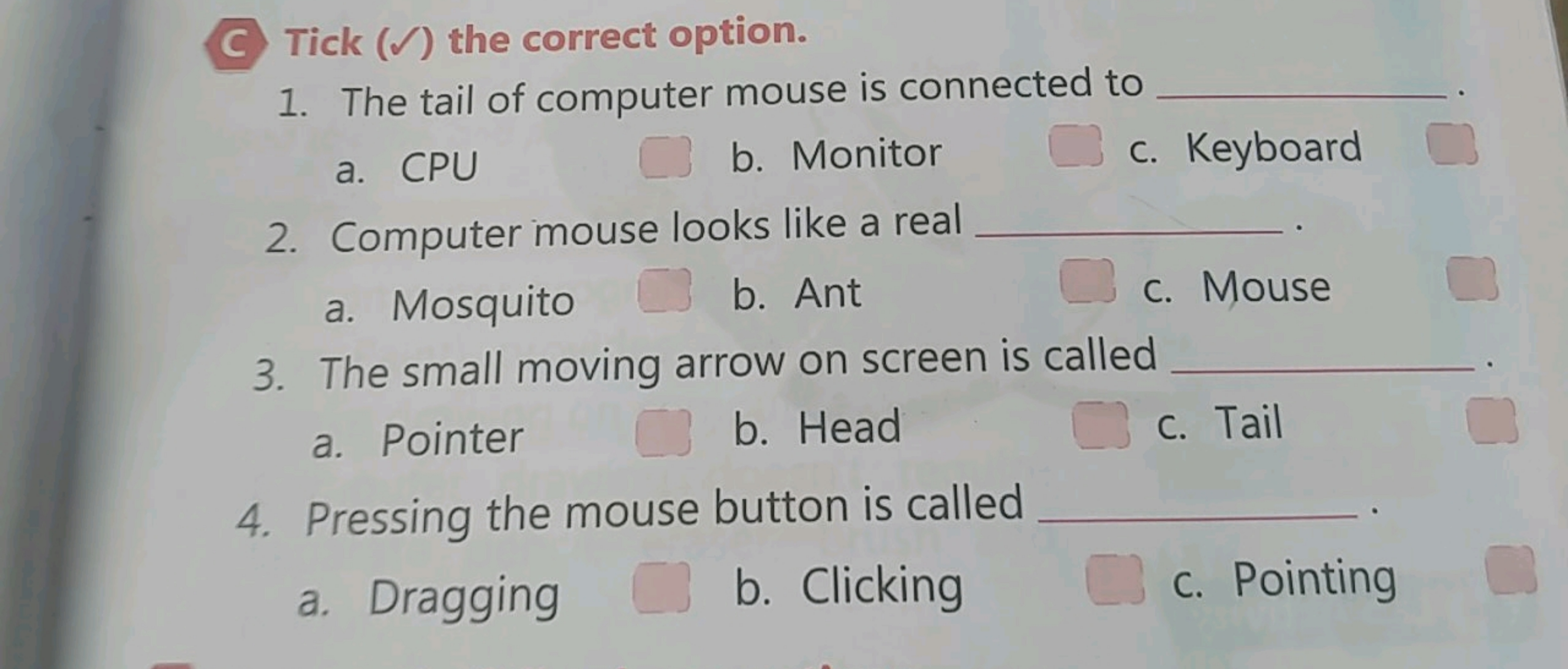 C Tick (✓) the correct option.
1. The tail of computer mouse is connec