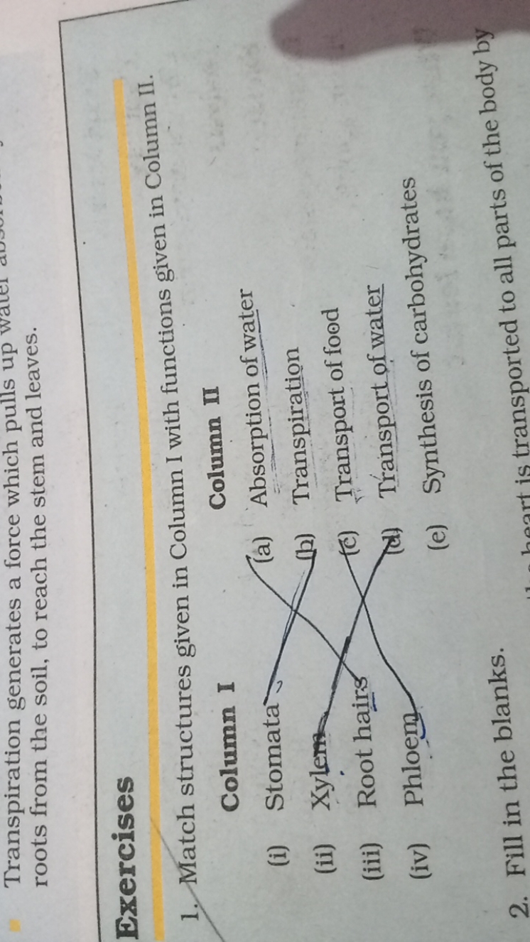 Transpiration generates a force which pulls up water roots from the so