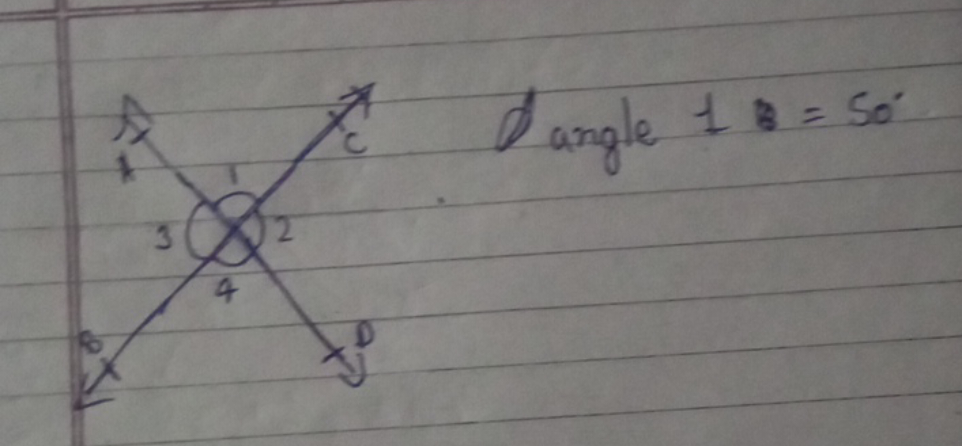 △angle ​1:=50∘