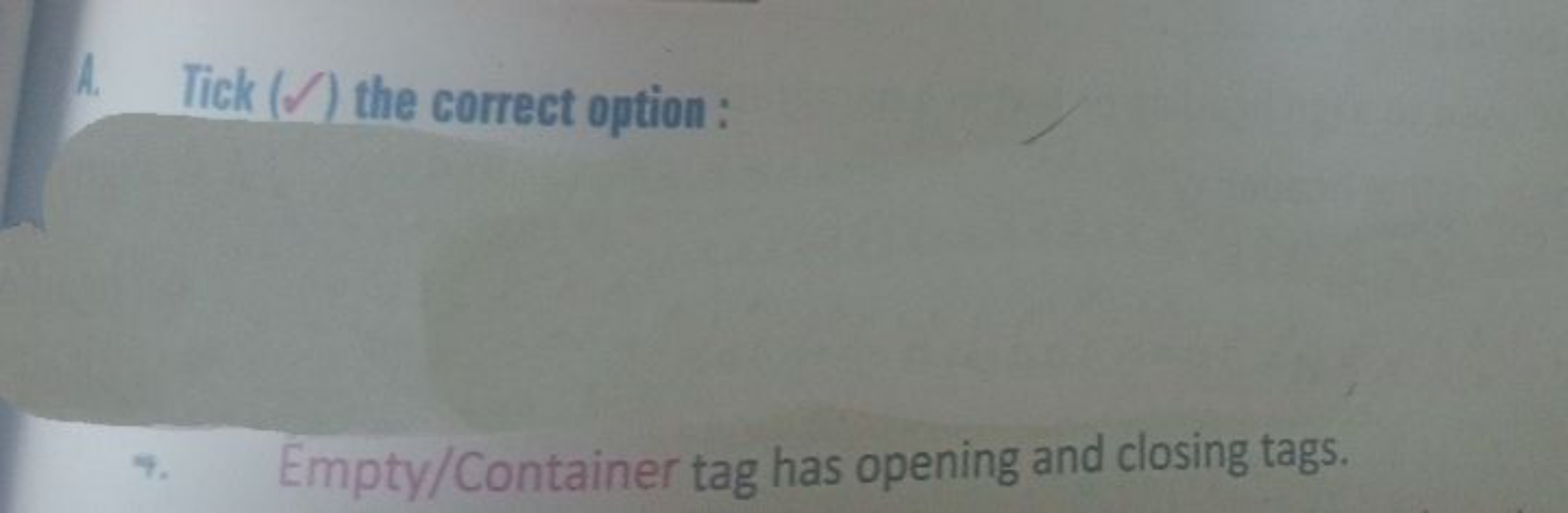 A. Tick (Ω) the correct option :
7. Empty/Container tag has opening an