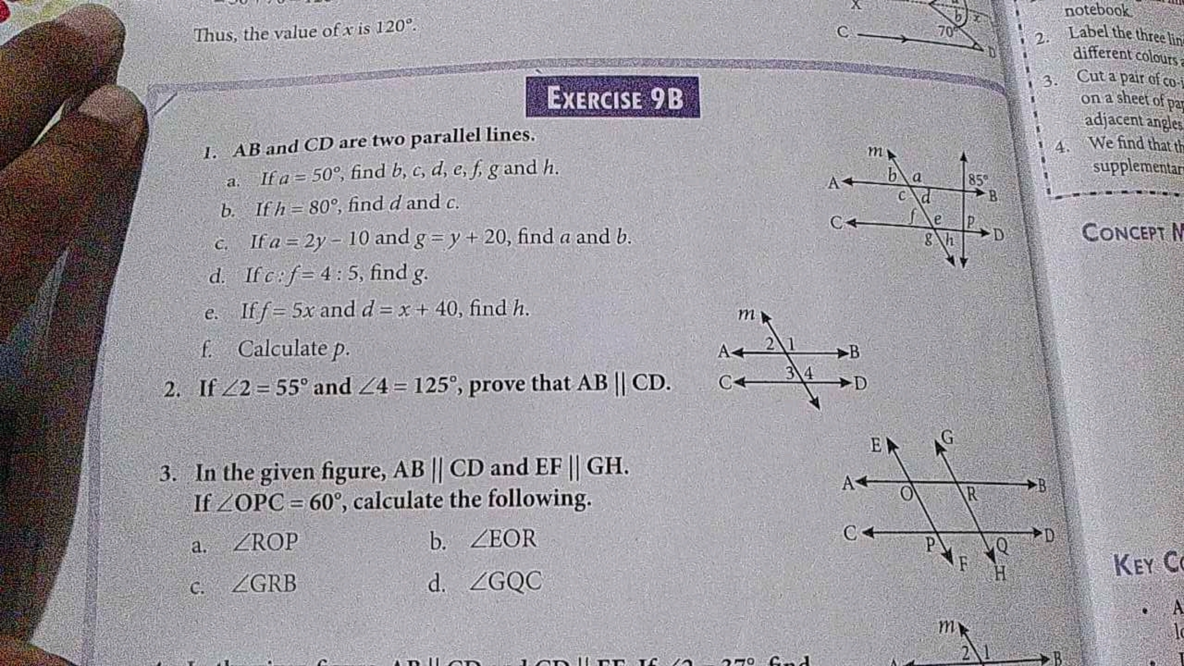 Thus, the value of x is 120°.
I. AB and CD are two parallel lines.
EXE