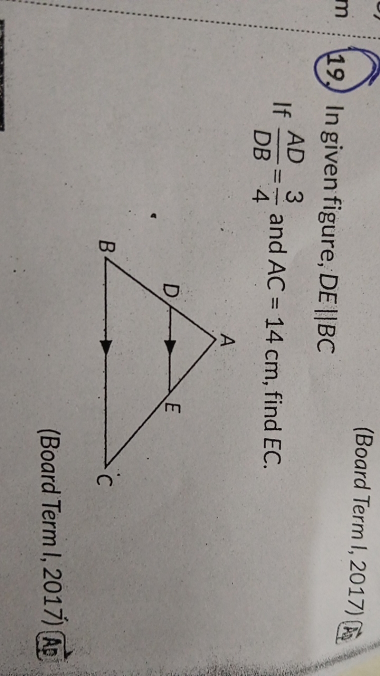 19. In given figure, DE∥BC
(Board Term I, 2017)
If DBAD​=43​ and AC=14