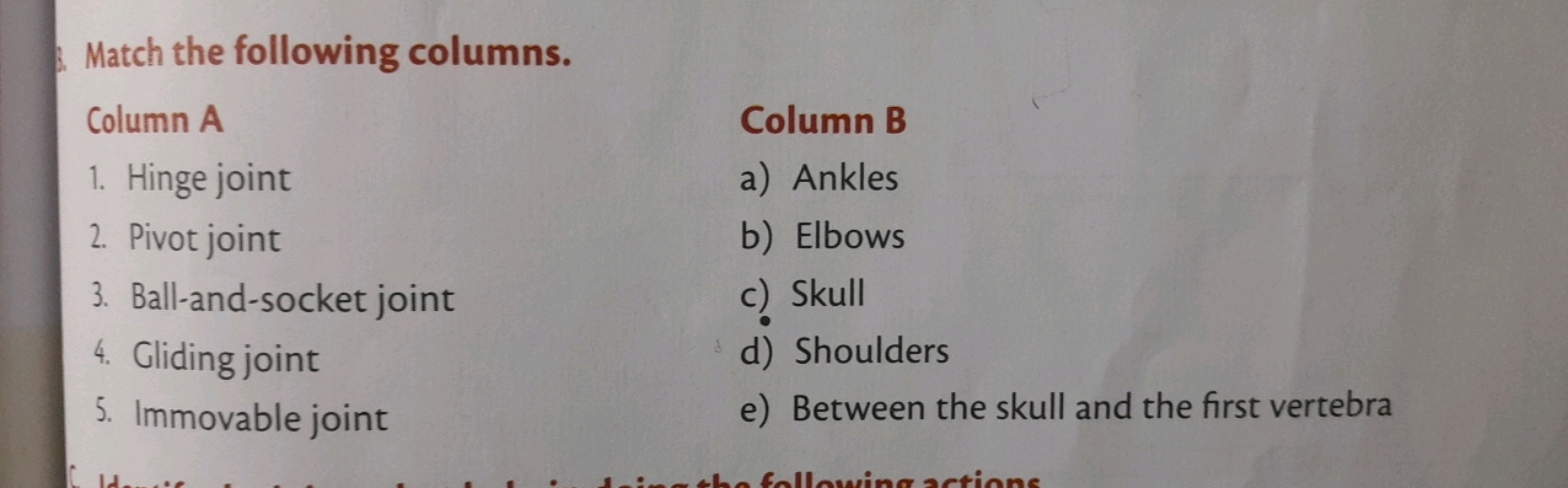 Match the following columns.
Column A
Column B
1. Hinge joint
a) Ankle