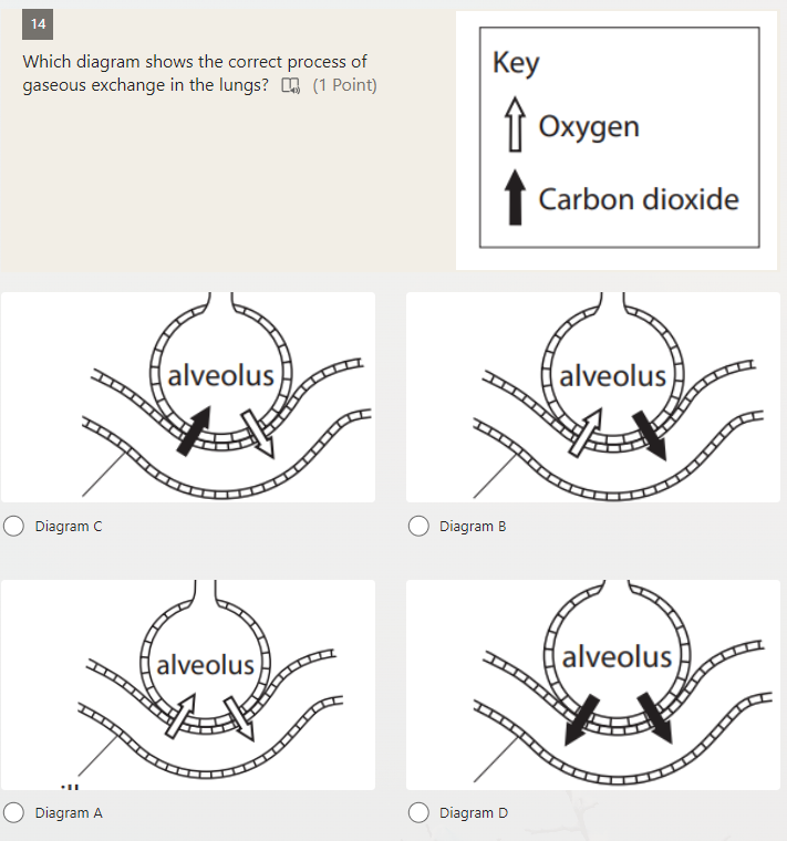 14

Which diagram shows the correct process of gaseous exchange in the