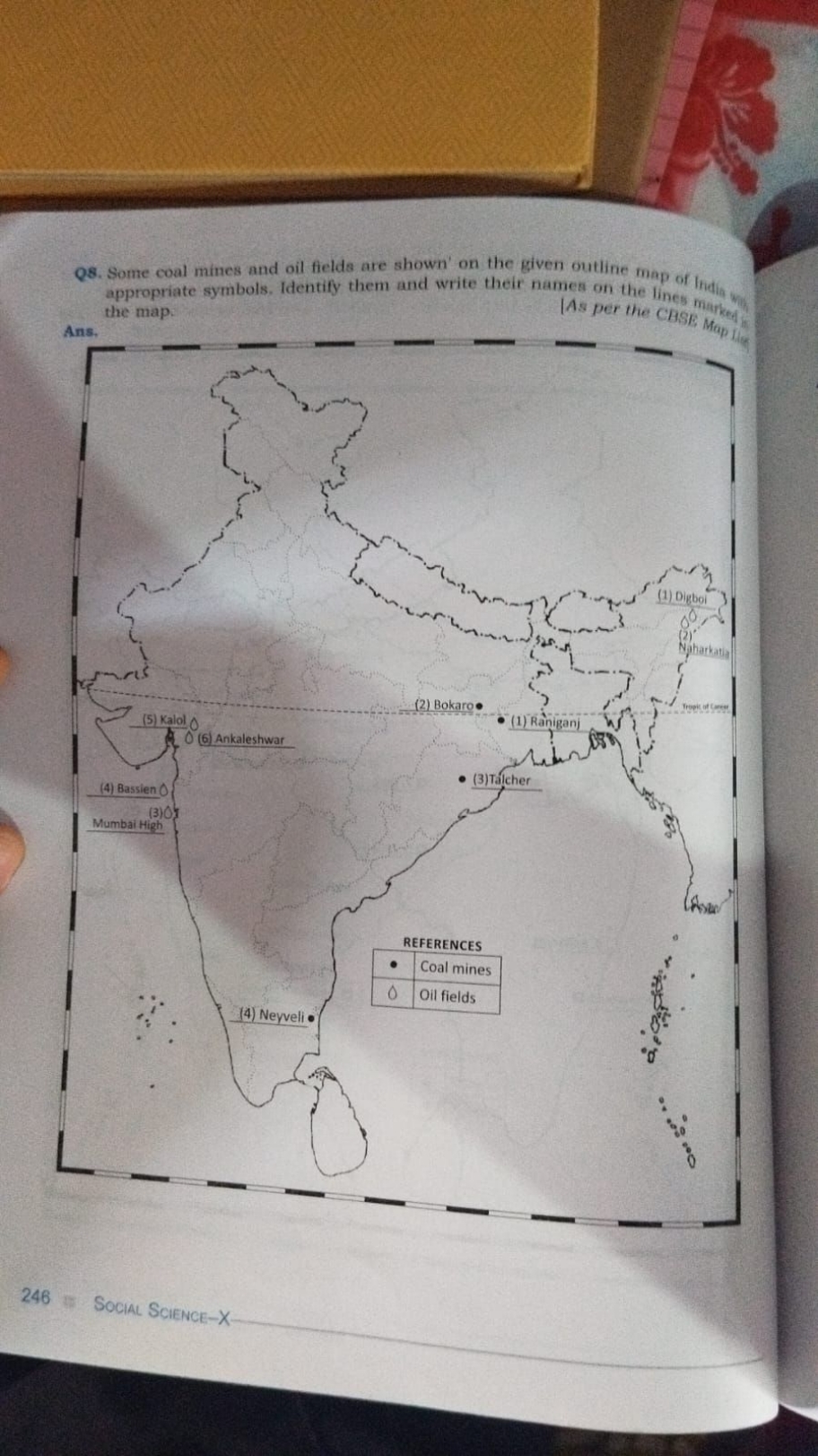 Q8. Some coal mines and oil fields are shown' on the given outline map