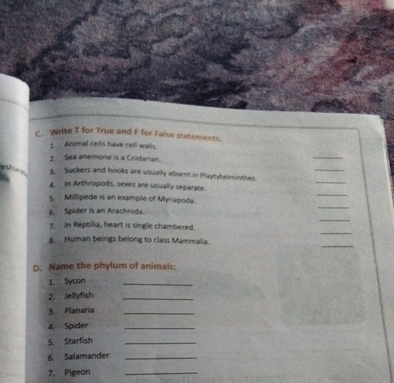 C. Write Y for True and F for False statements.
1. Animal cells have c