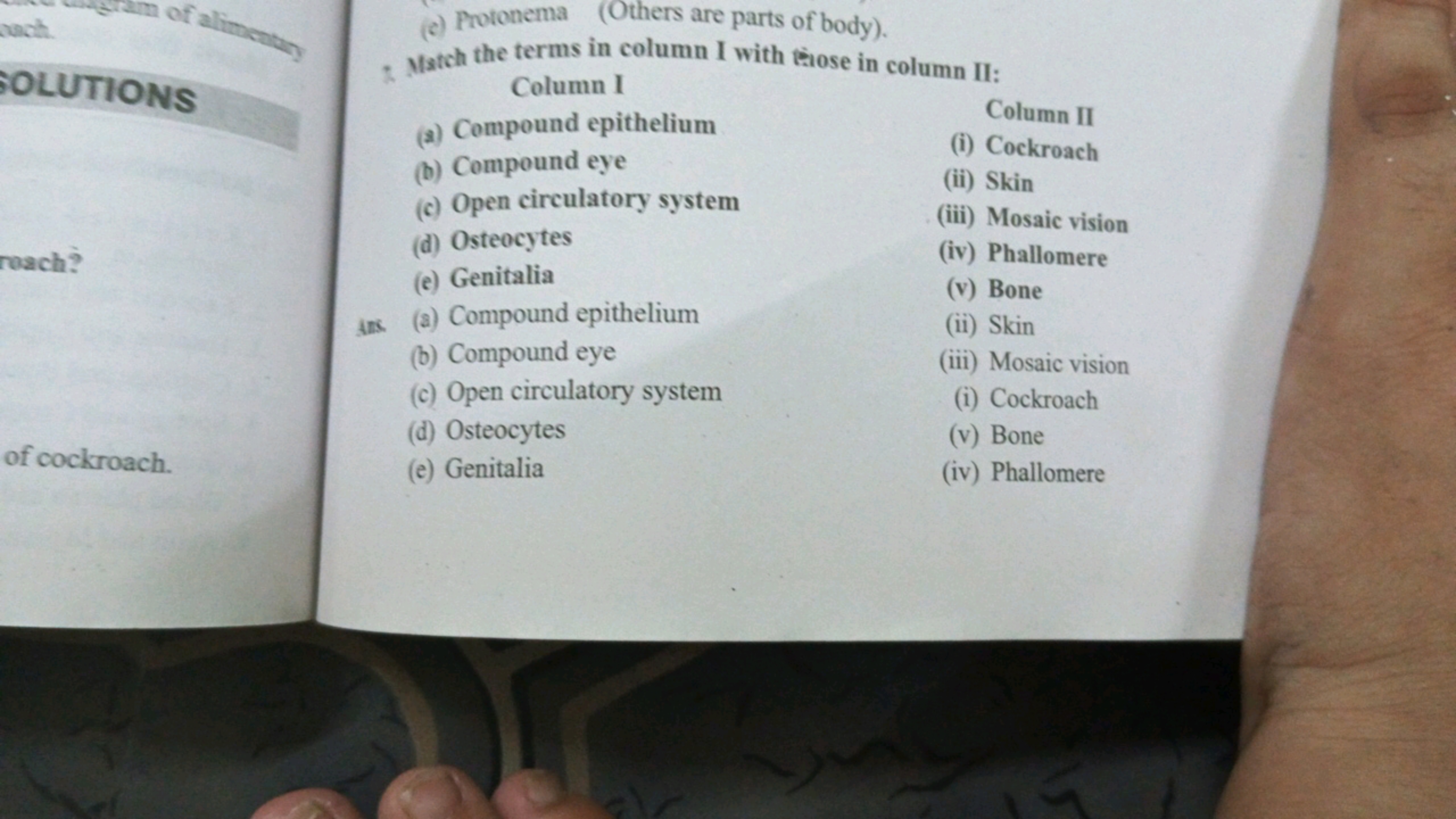 ach
of alimentary
SOLUTIONS
roach?
of cockroach.
(e) Protonema (Others