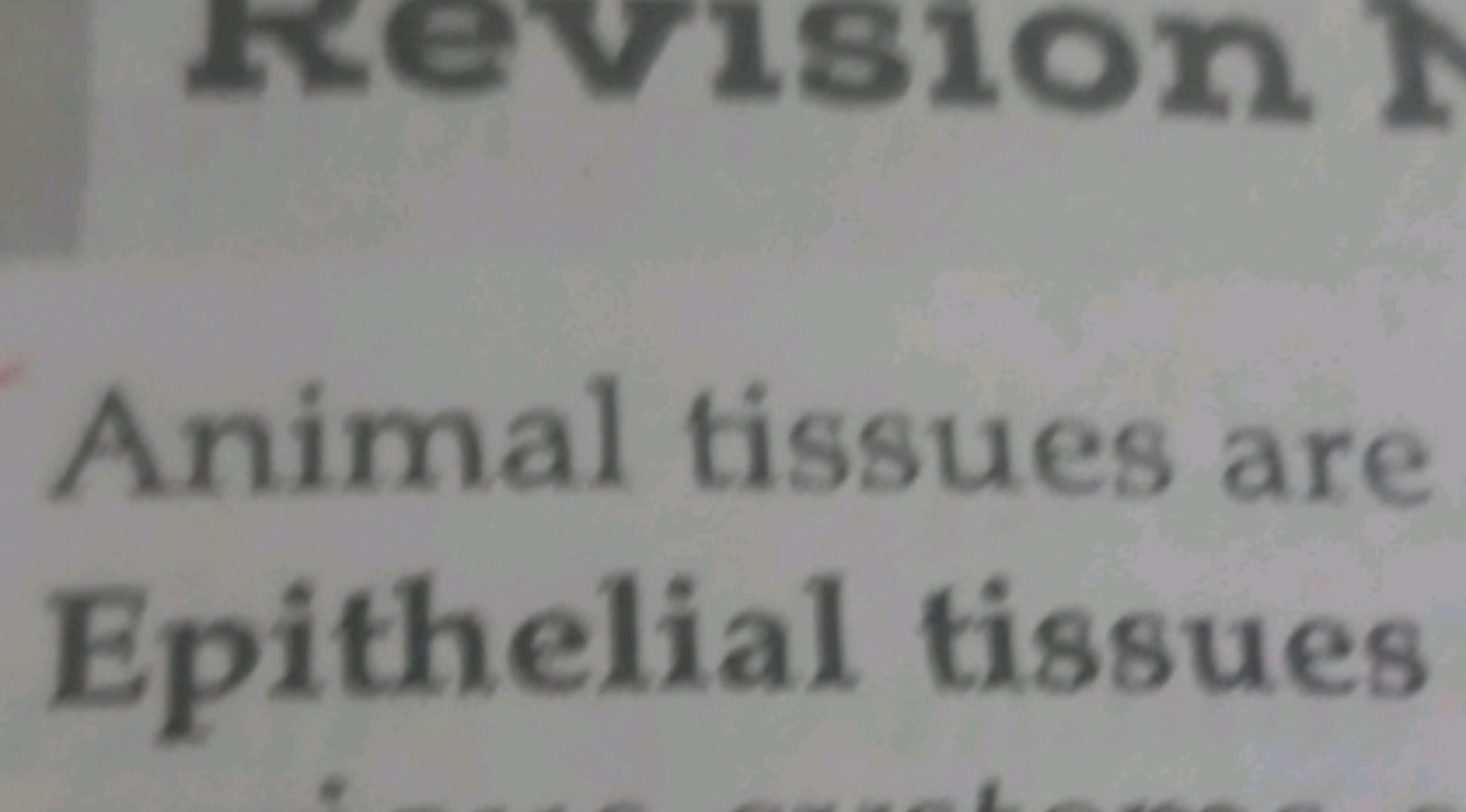 Animal tissues are Epithelial tissues