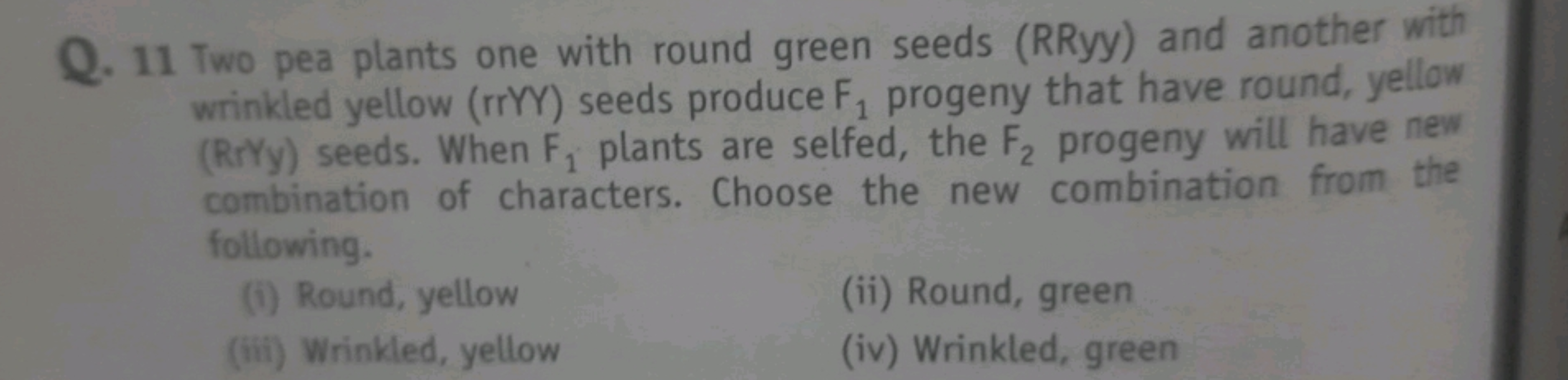 Q. 11 Two pea plants one with round green seeds (RRyy) and another wit