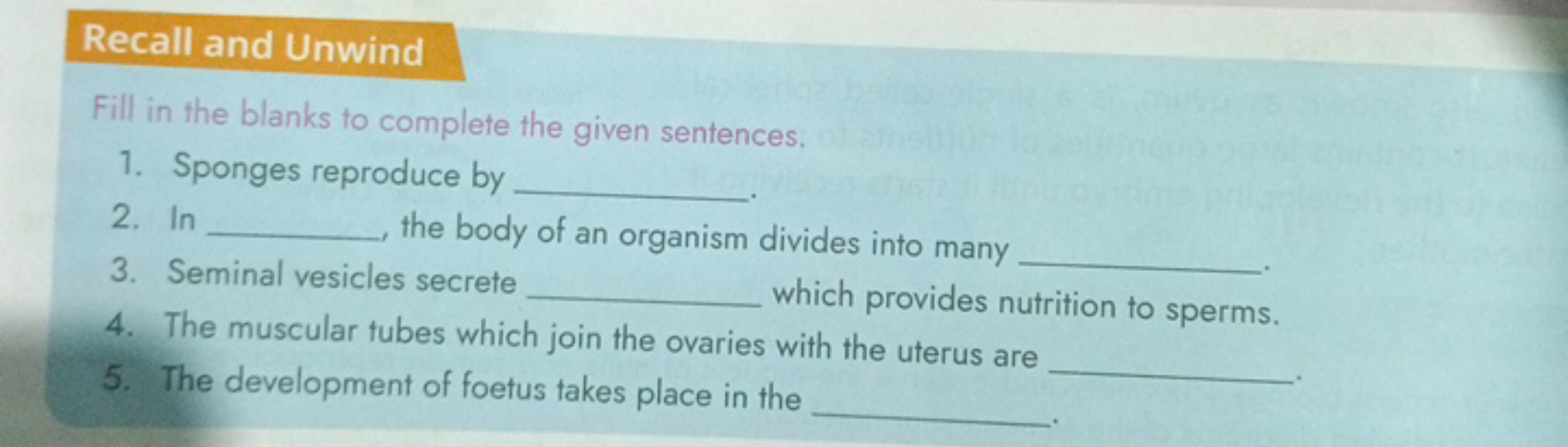 Recall and Unwind
Fill in the blanks to complete the given sentences.
