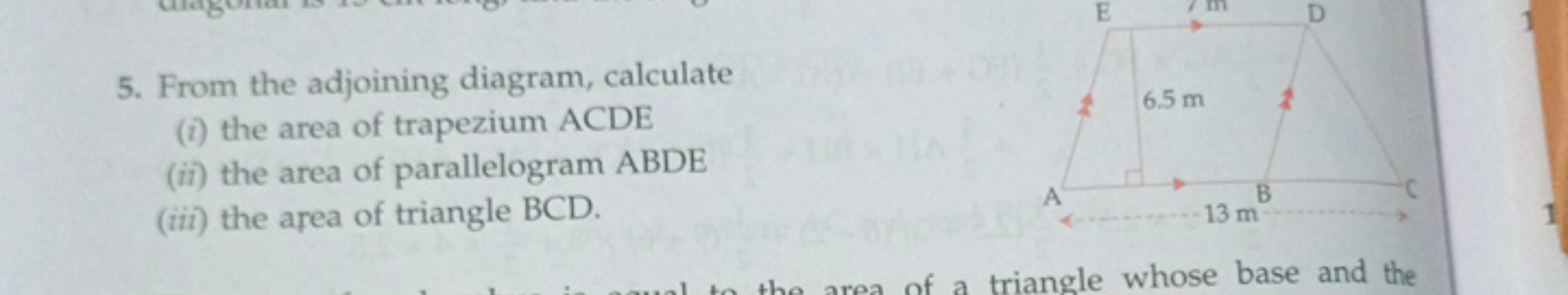 5. From the adjoining diagram, calculate
(i) the area of trapezium ACD