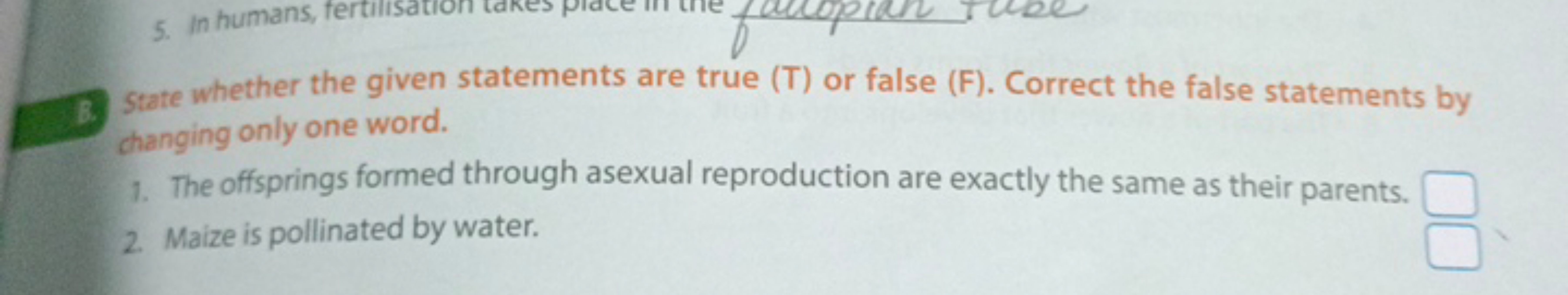 B. State whether the given statements are true (T) or false (F). Corre