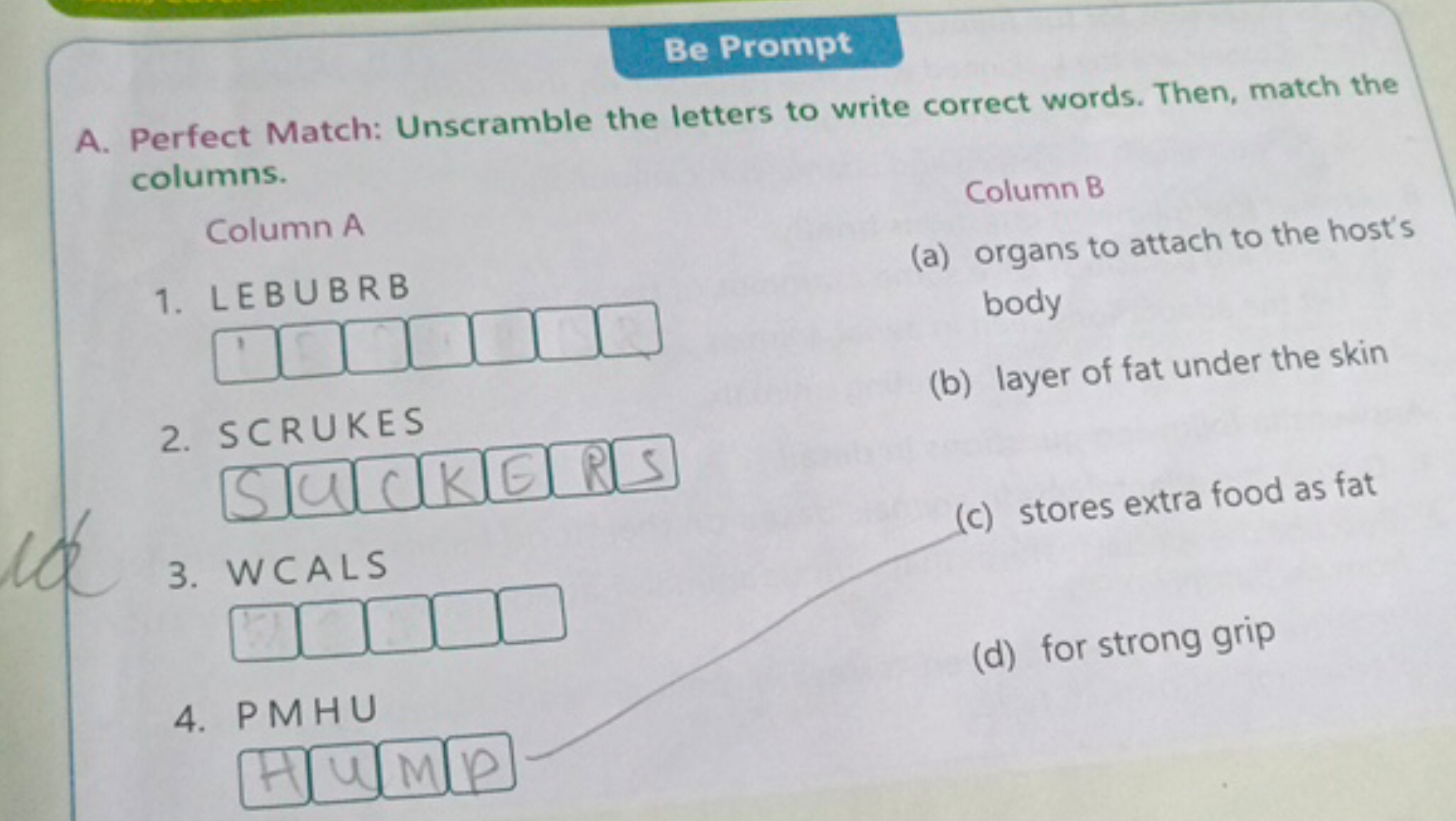 Be Prompt
A. Perfect Match: Unscramble the letters to write correct wo