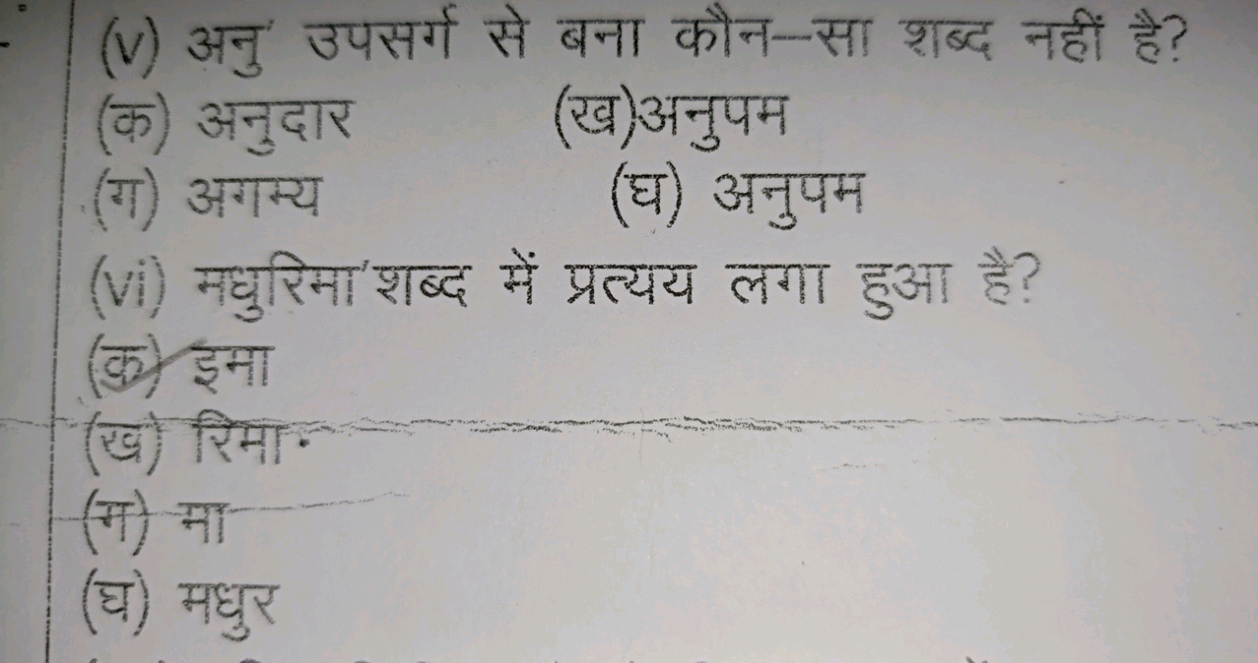 (v) अनु उपसर्ग से बना कौन-सा शब्द नहीं है?
(क) अनुदार
(ख)अनुपम
(ग) अगम