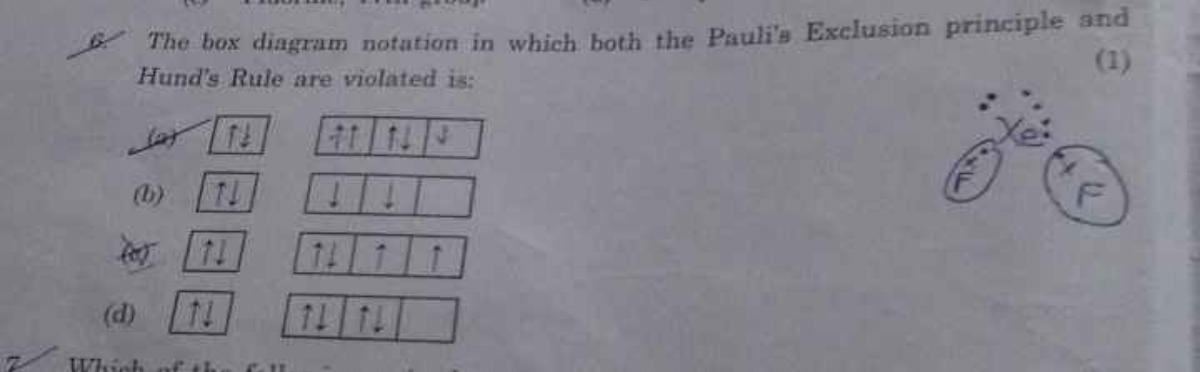 6. The box diagram notation in which both the Pauli's Exclusion princi