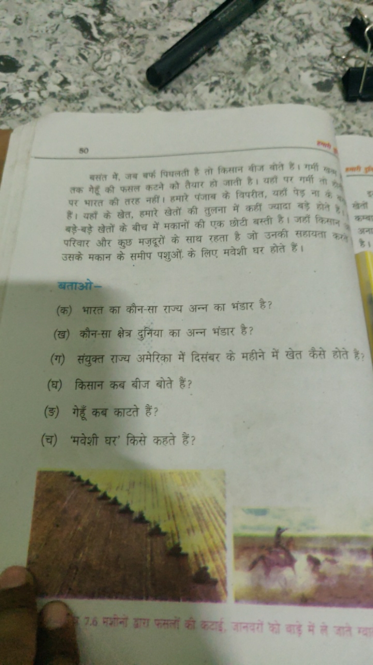 50
बसंत में, जब बर्फ पिघलती है तो किसान बीज बोते है। गर्मी गभन तक गेहू