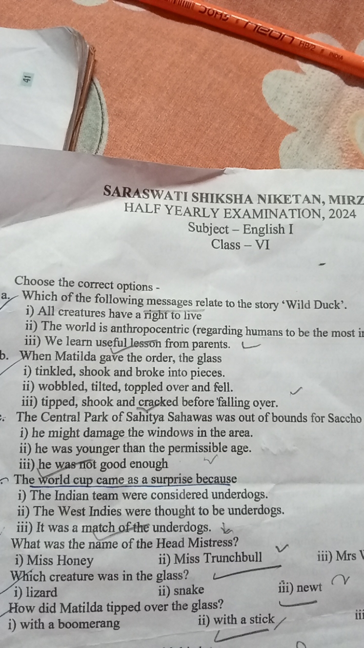 SARASWATI SHIKSHA NIKETAN, MIRZ
HALF YEARLY EXAMINATION, 2024
Subject 