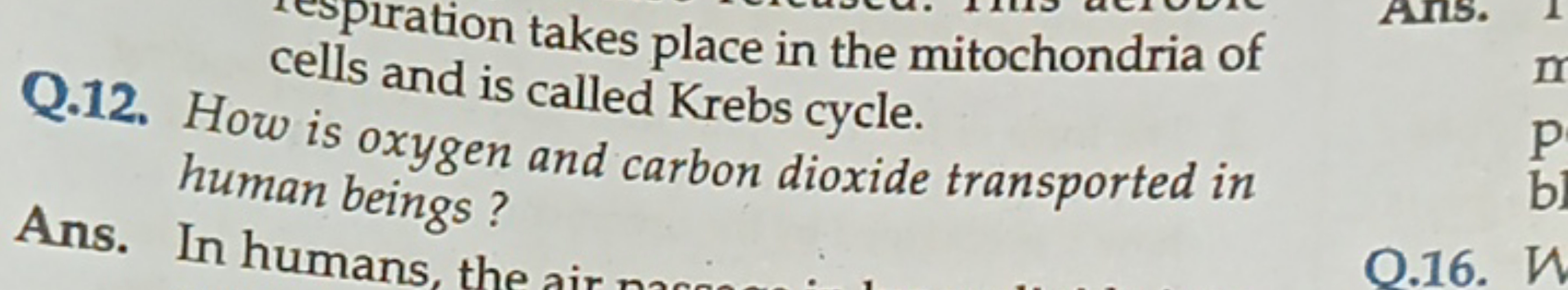 espiration takes place in the mitochondria of
Q.12. How cells and is c