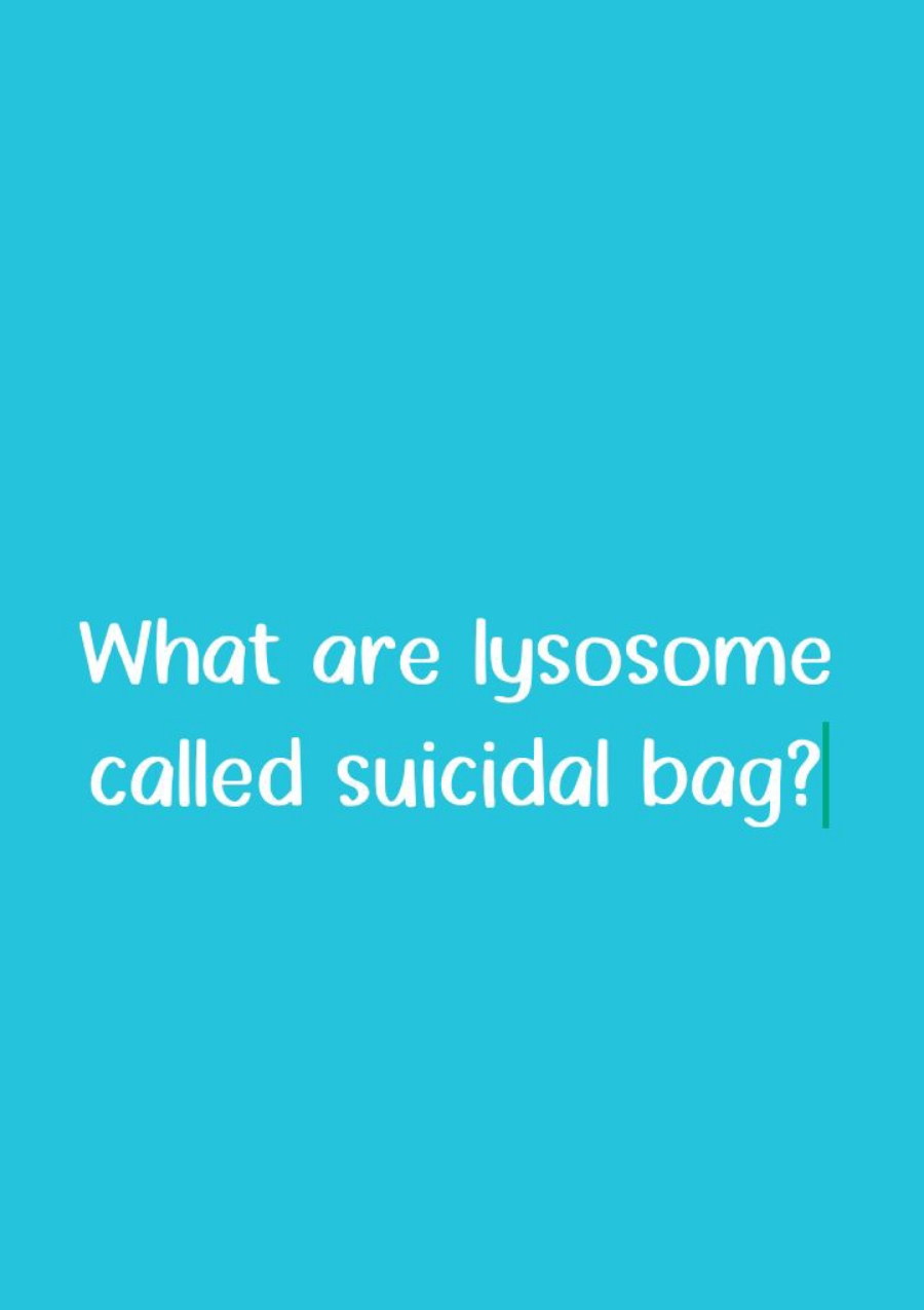 What are lysosome called suicidal bag?