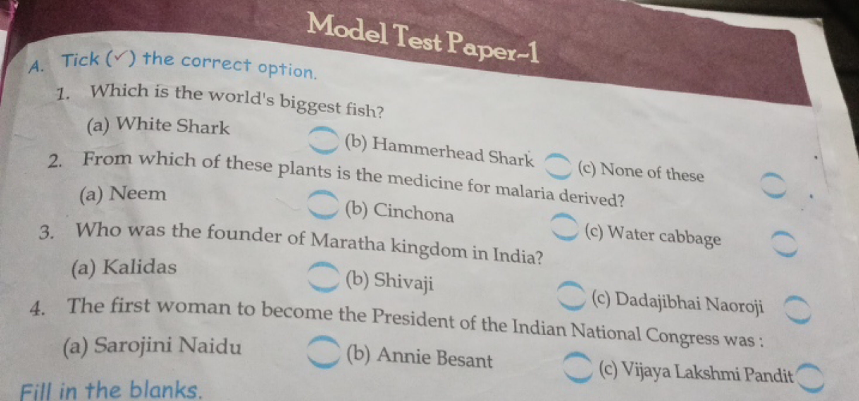 Model Test Paper-1
A. Tick (✓) the correct option.
1. Which is the wor