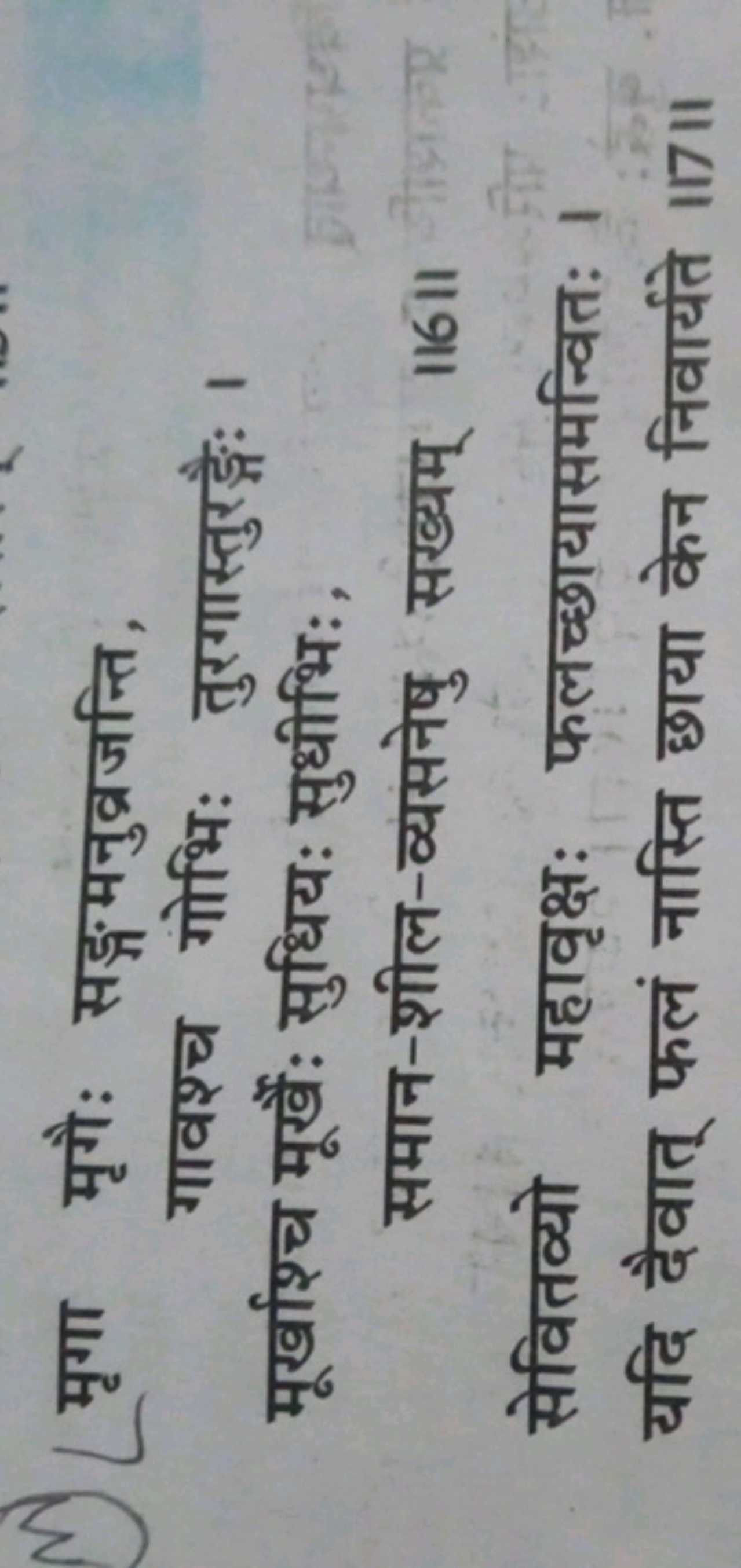 W मृगा मृगै: सङ्गमनुव्रजन्ति,
गावश्च गोभिः तुरगास्तुरड़्गः।
मूर्खाश्च 