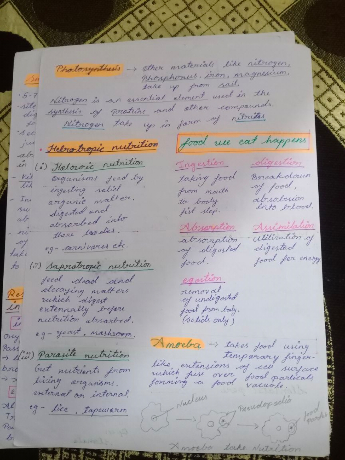 Photosynthesis → other materials like nitrogen, phosphorus, iron, magn