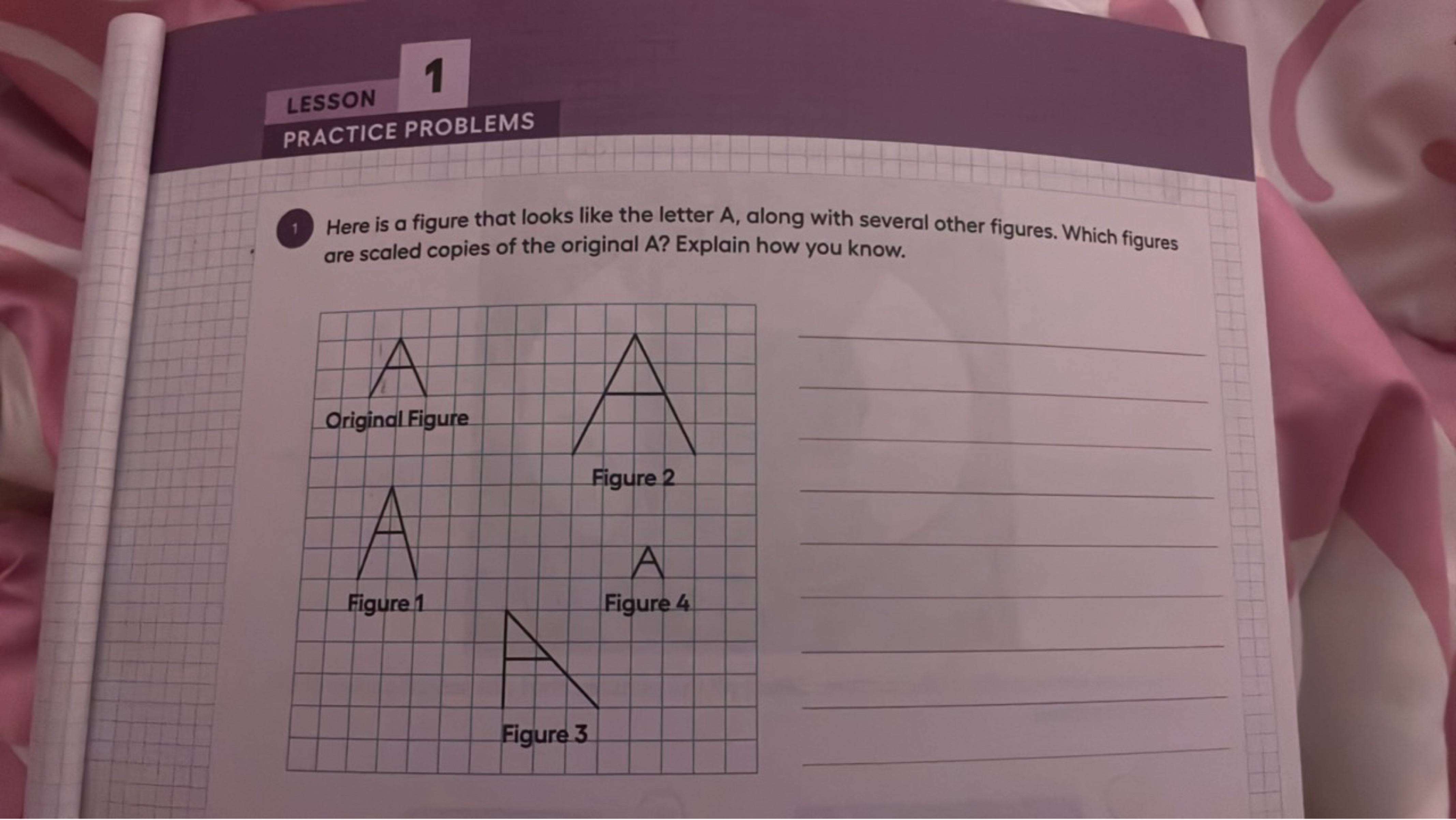 LESSON
PRACTICE PROBLEMS
1. Here is a figure that looks like the lette