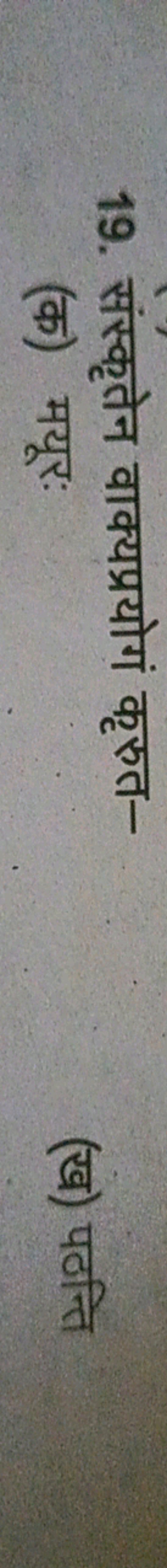 19. संस्कृतेन वाक्यप्रयोगं कृरुत-
(क) मयूरः
(ख) पठन्ति