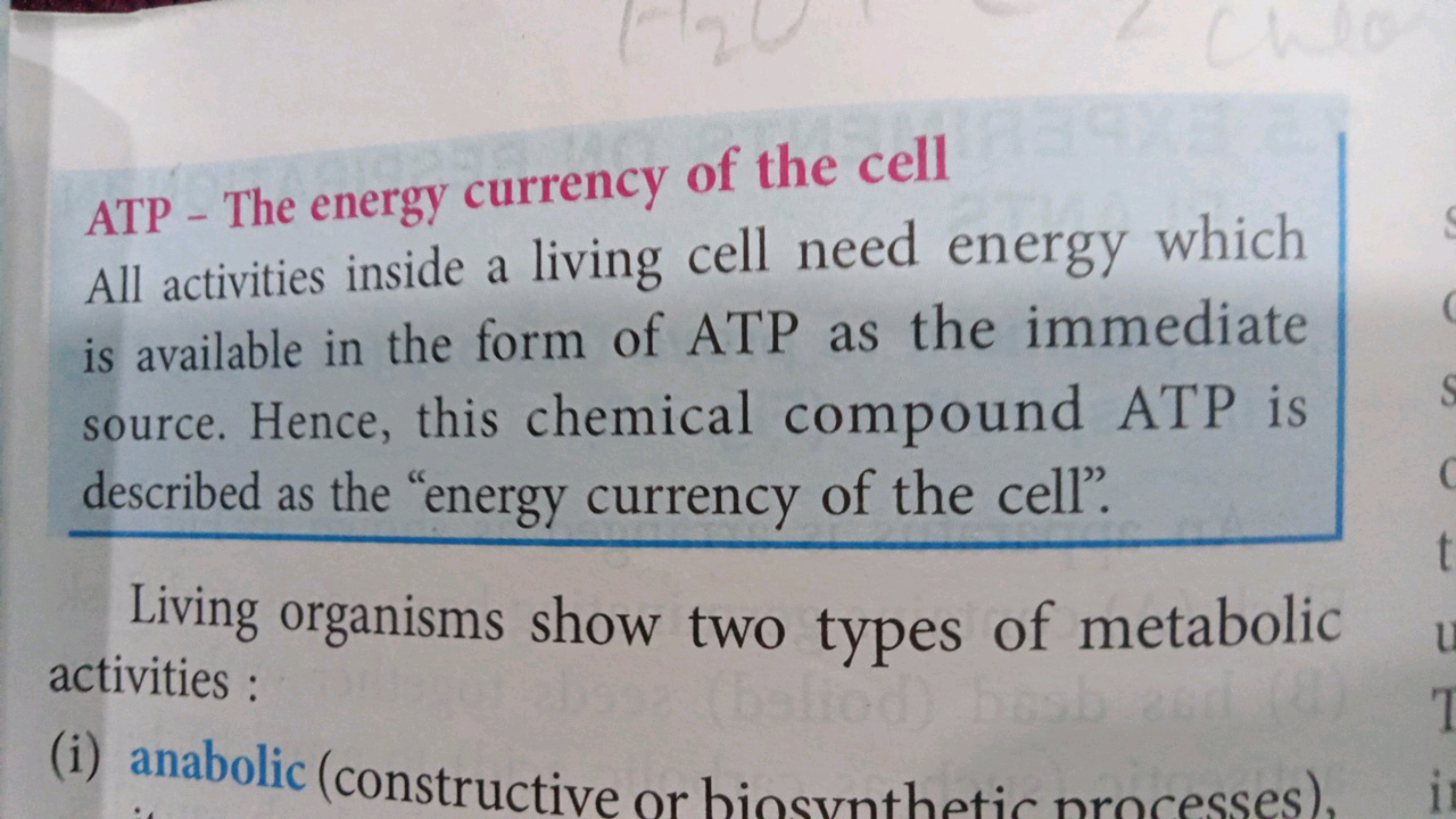 ATP - The energy currency of the cell All activities inside a living c