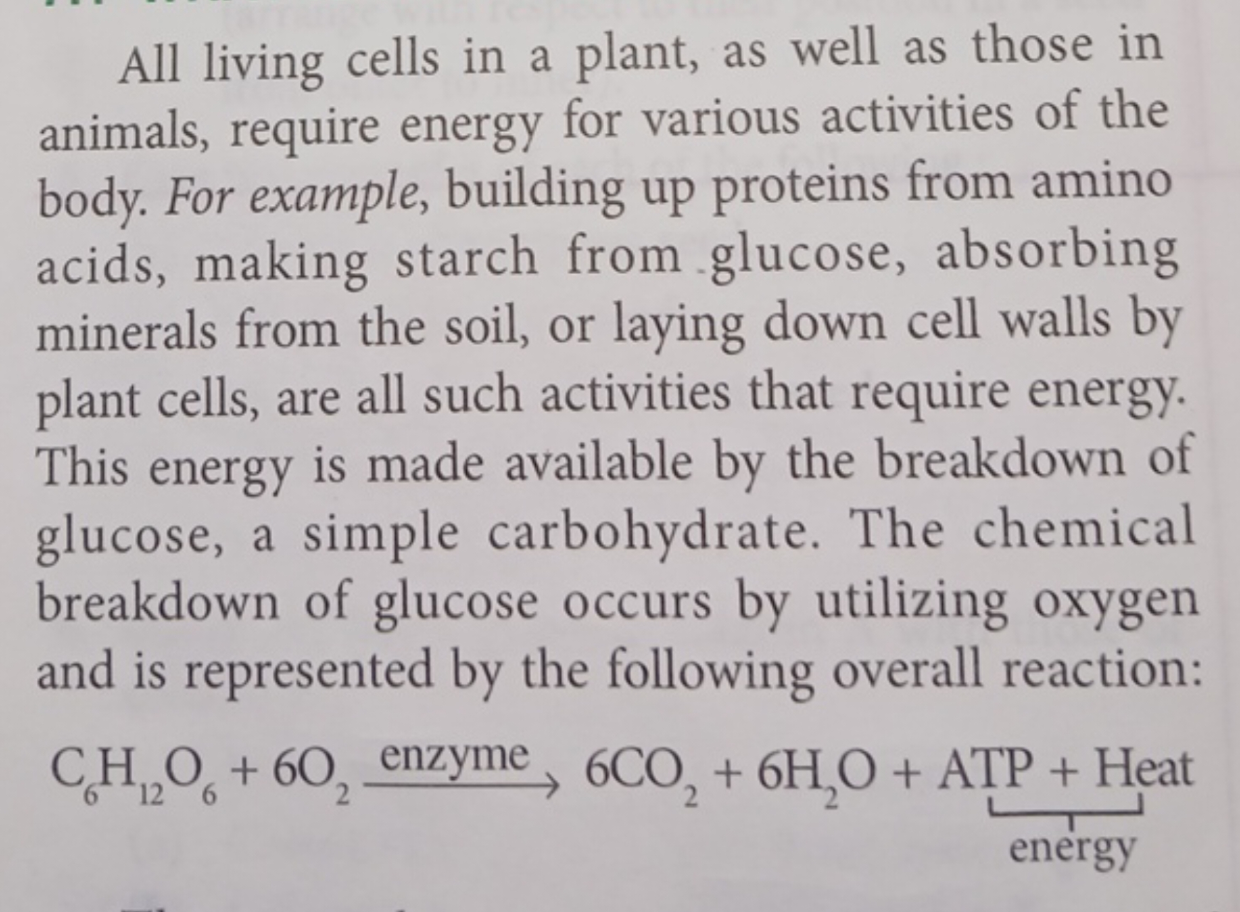 All living cells in a plant, as well as those in animals, require ener