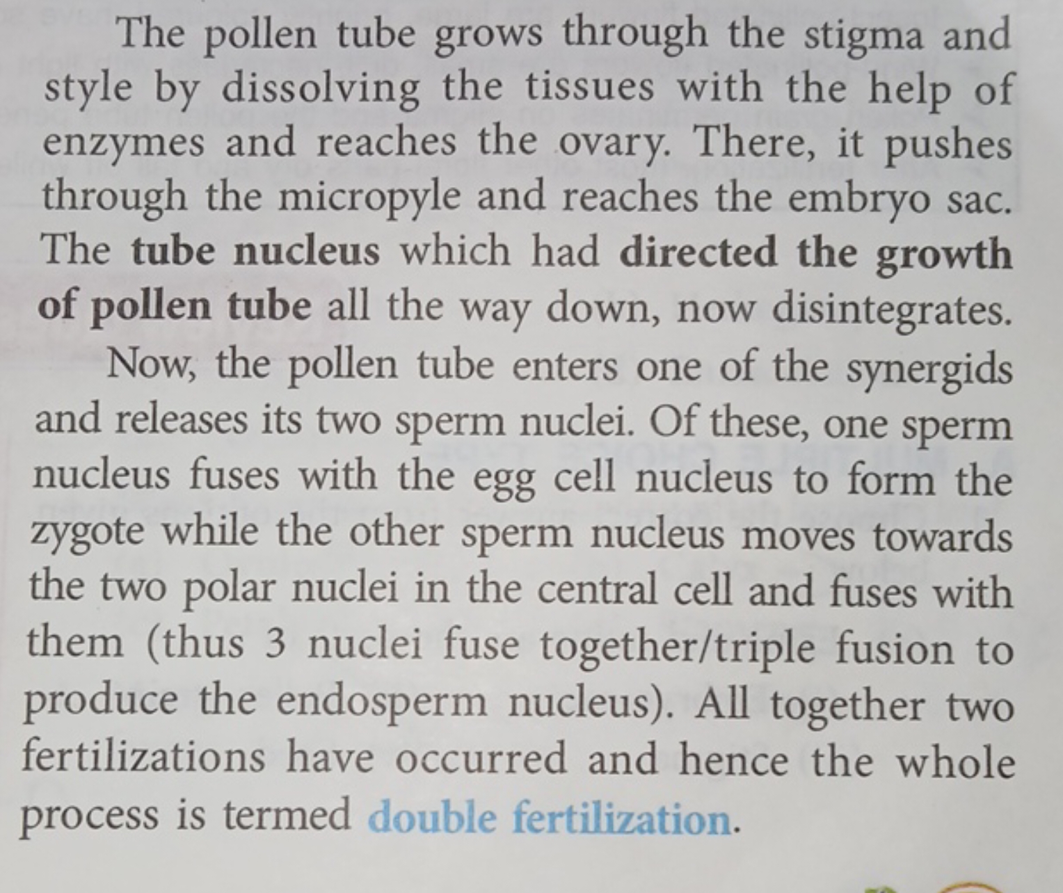 The pollen tube grows through the stigma and style by dissolving the t