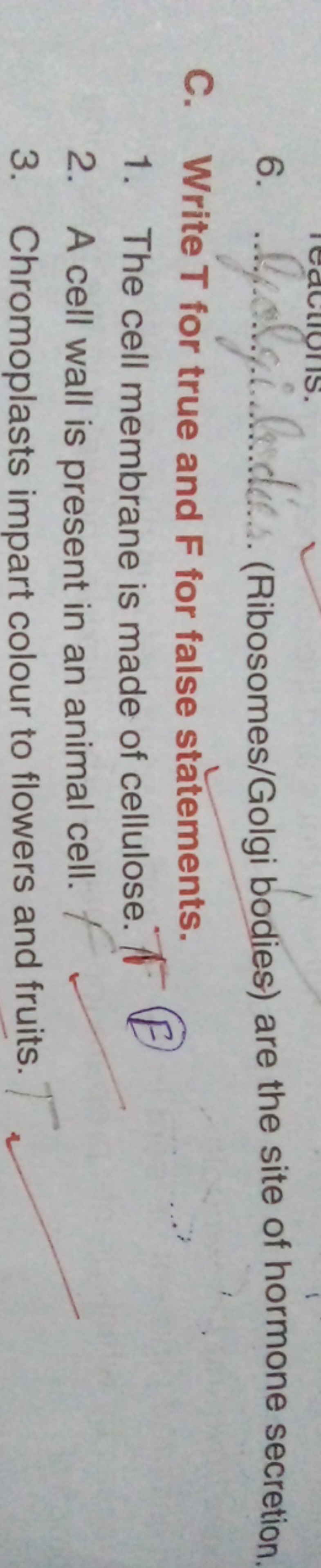 6.  (Ribosomes/Golgi bodies) are the site of hormone secretion.
C. Wri