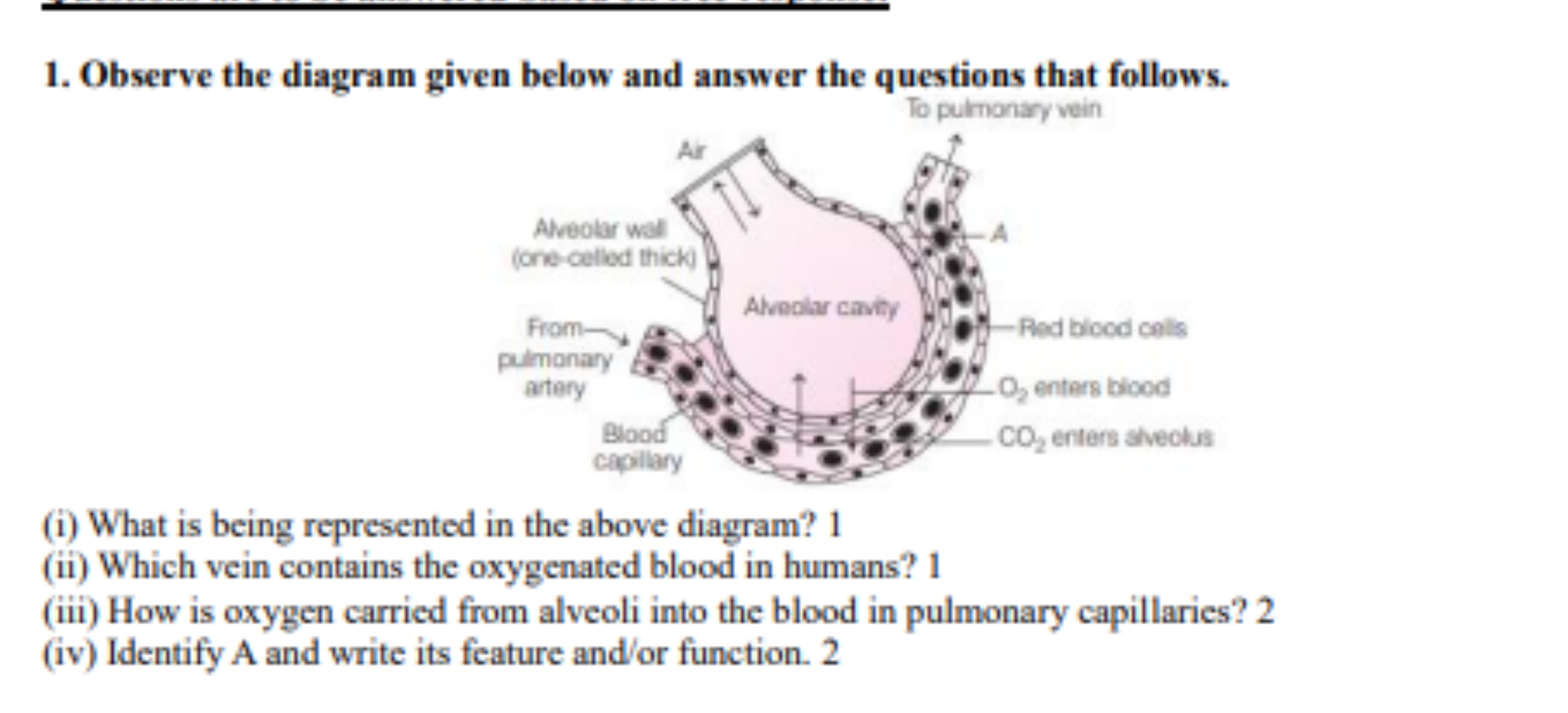 1. Observe the diagram given below and answer the questions that follo