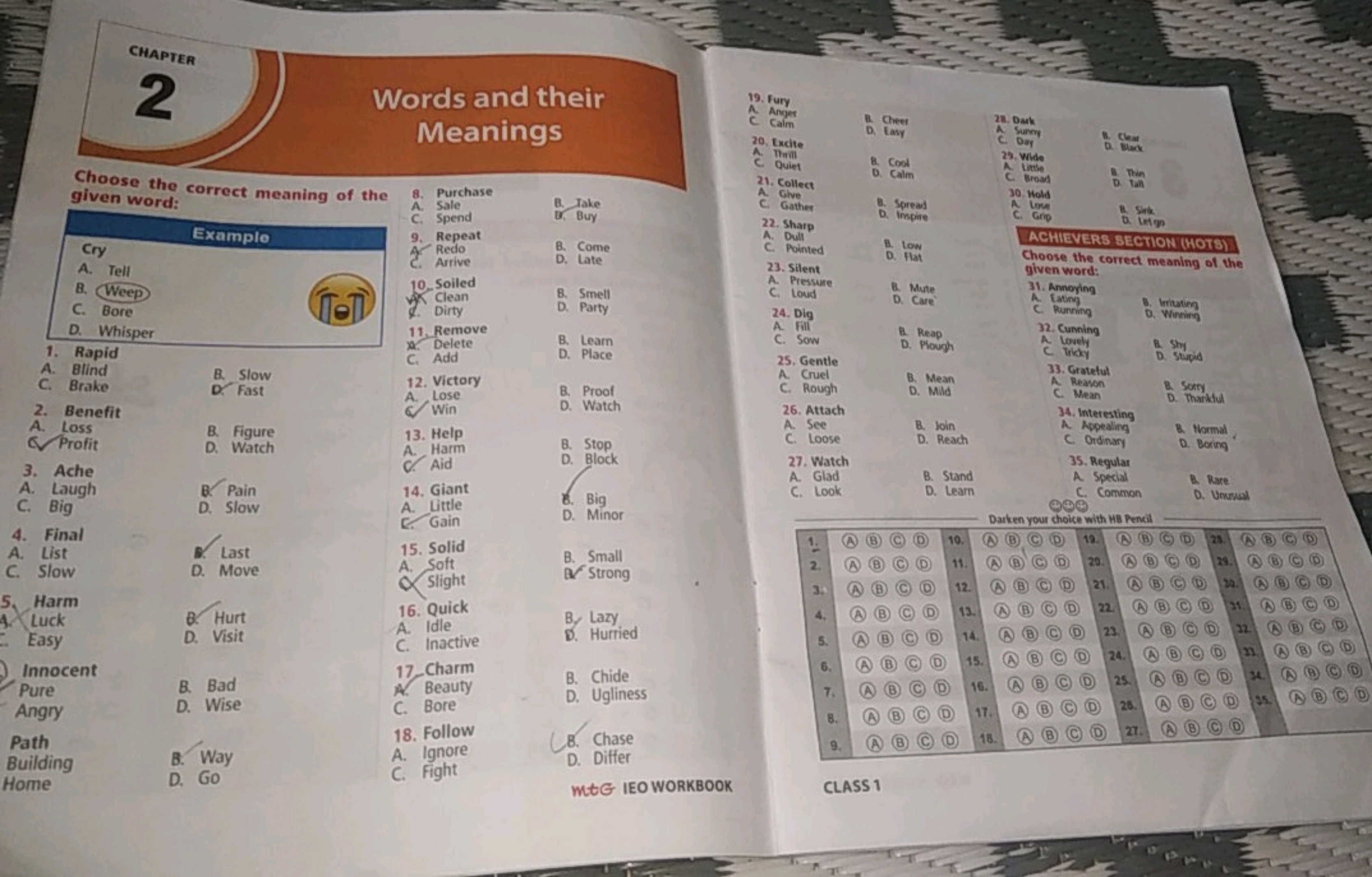 Example
CHAPTER
2
Words and their
Meanings
Choose the correct meaning 