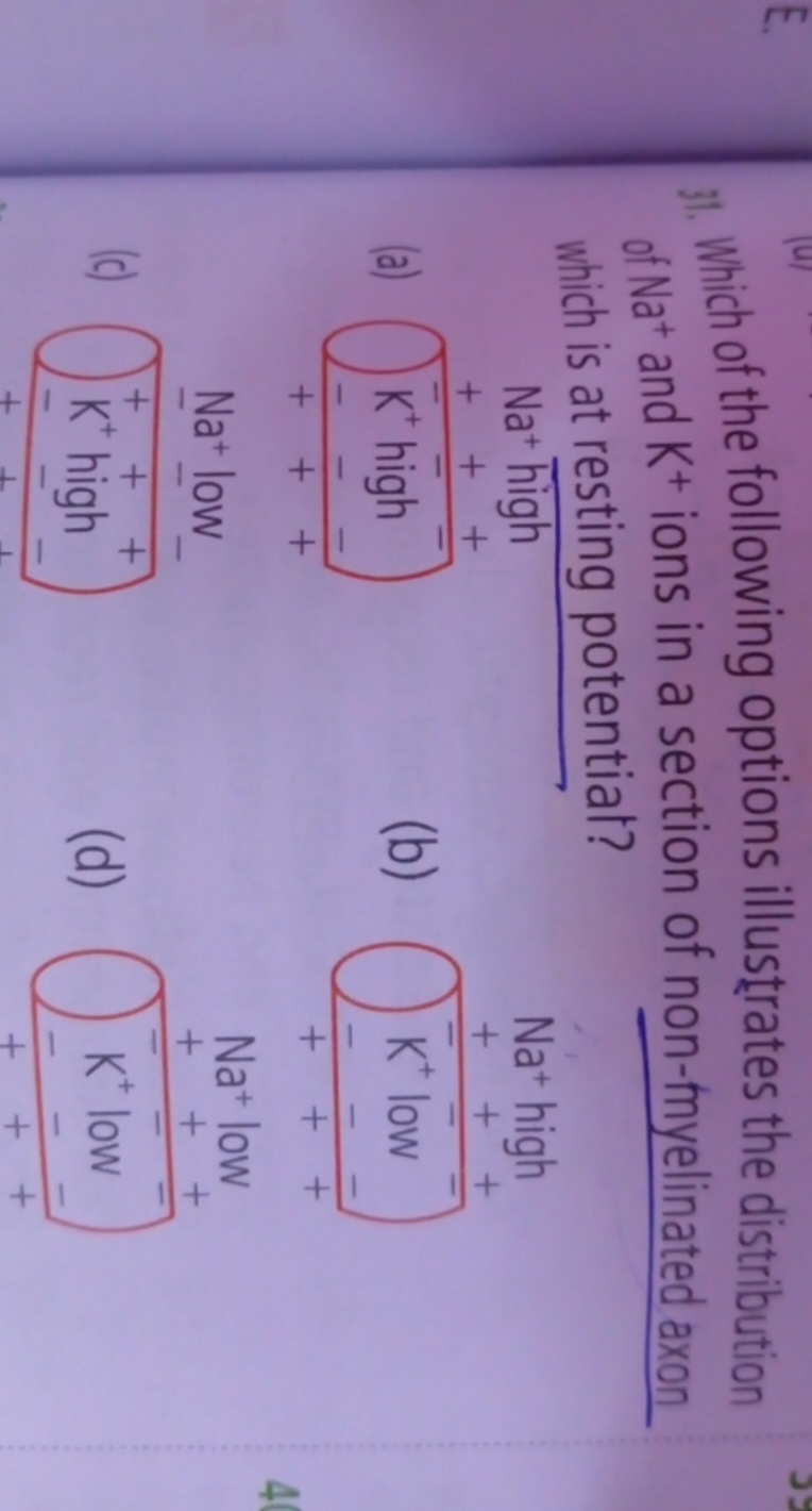 31. Which of the following options illustrates the distribution ot +a+