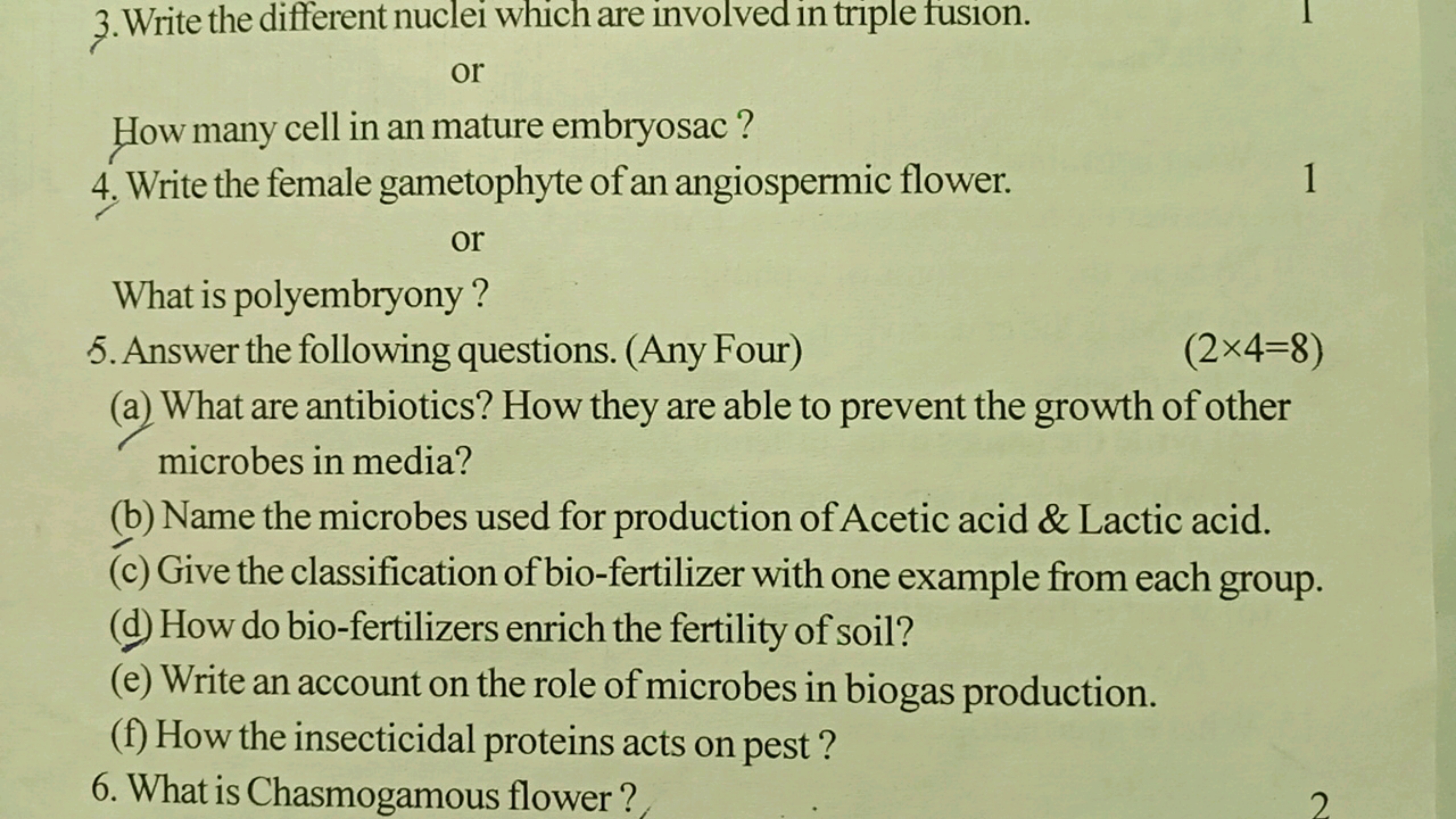 3. Write the different nuclei which are involved in triple fusion.
or
