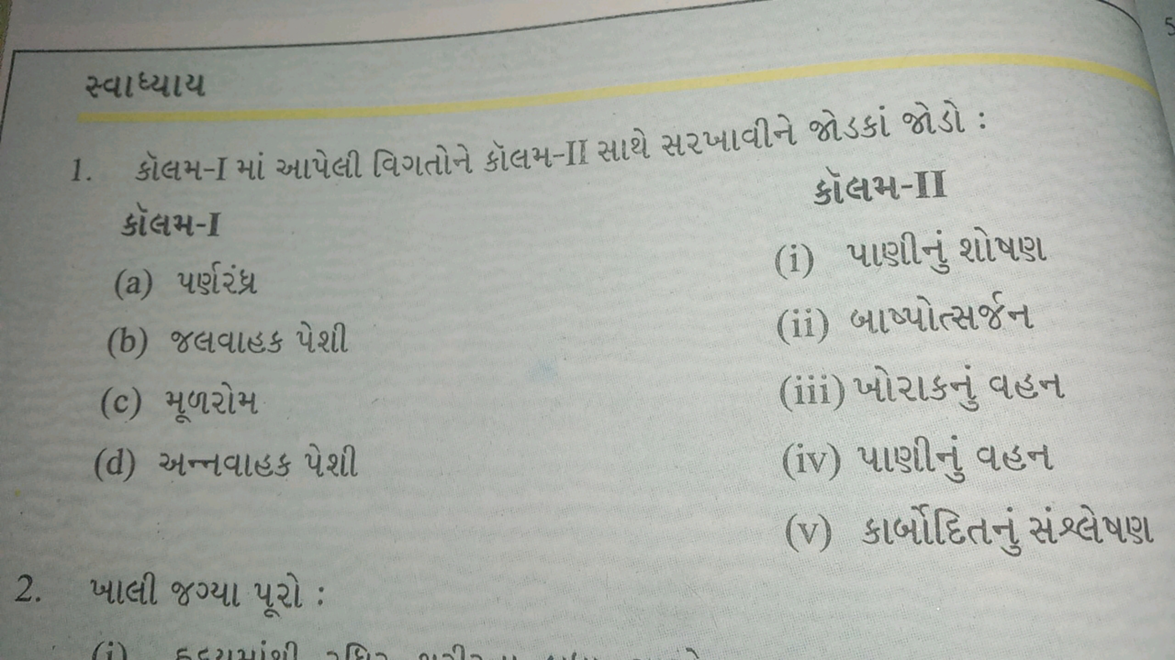 સ્વાધ્યાય
1. કૉલમ-I માં આપેલી વિગતોને કૉલમ-II સાથે સરખાવીને જોડકાં જોડ