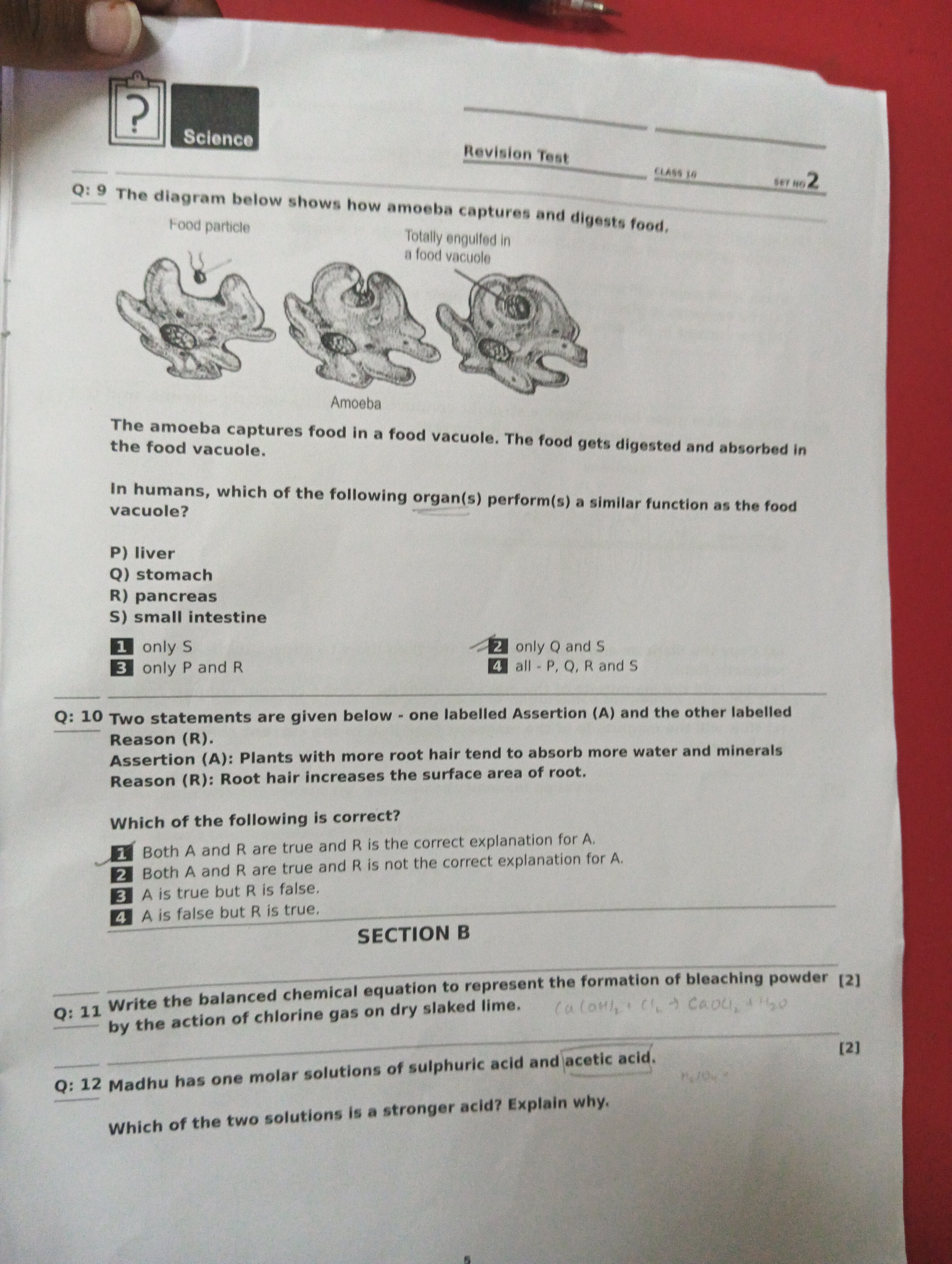 ?
Science
Revision Test
CLASS 10
SEY NG2
Q: 9 The diagram below shows 