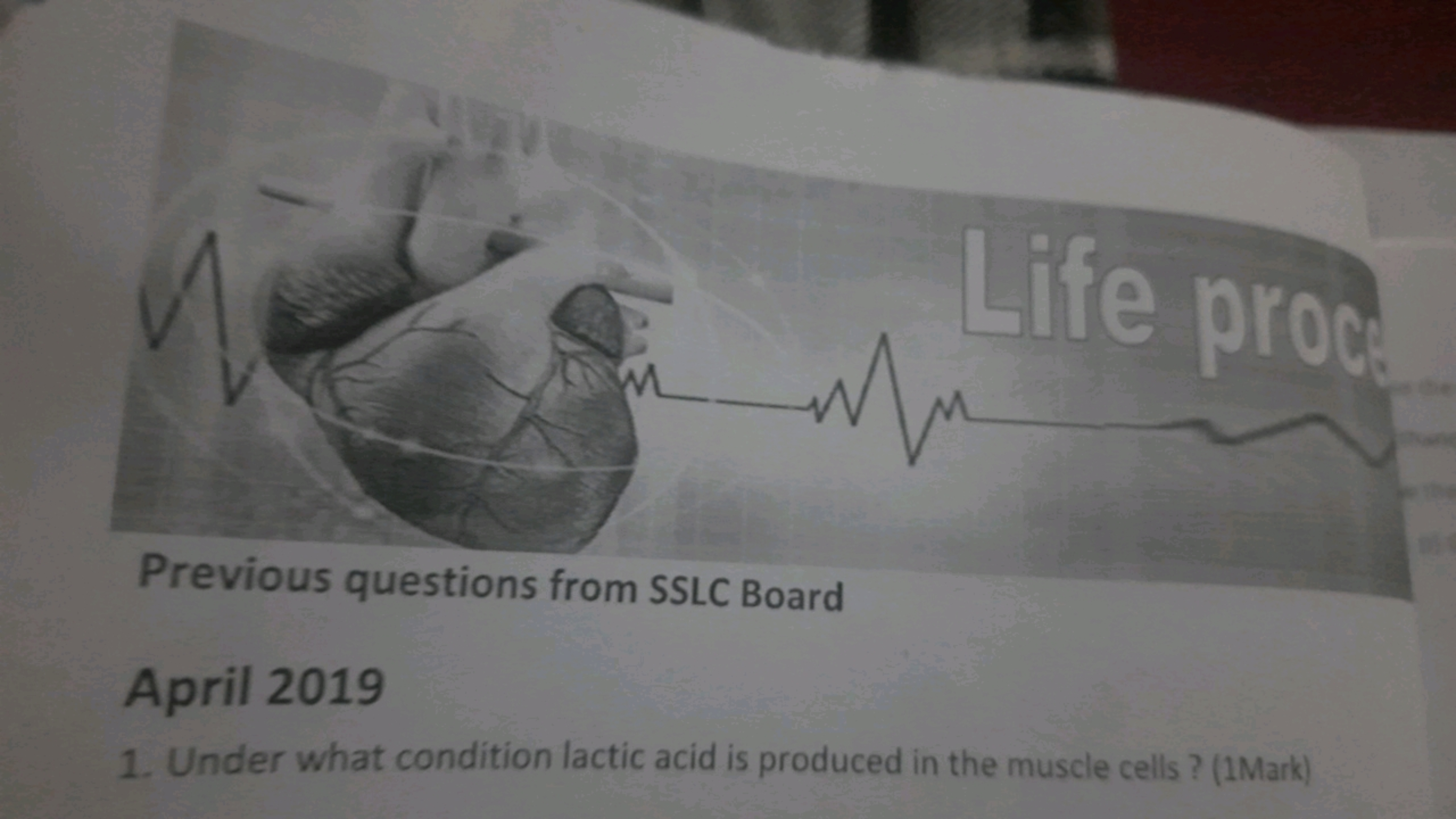 biff prone
μ

Previous questions from SSLC Board
April 2019
1. Under w