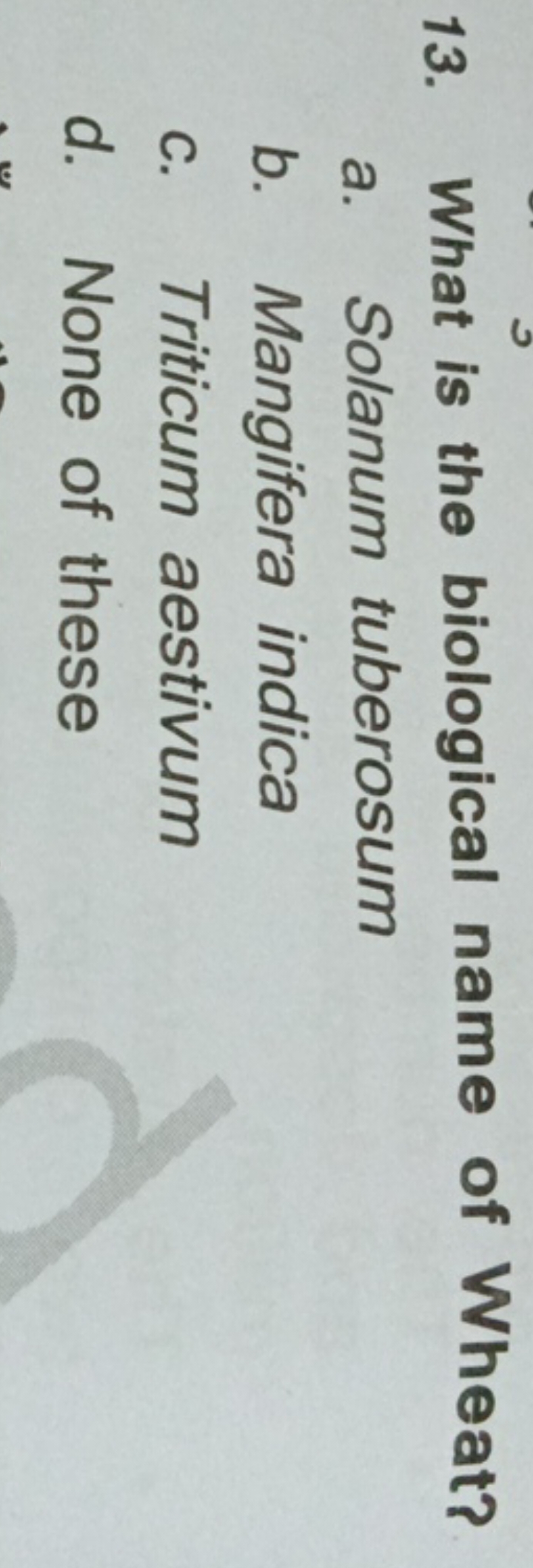 13. What is the biological name of Wheat?
a. Solanum tuberosum
b. Mang