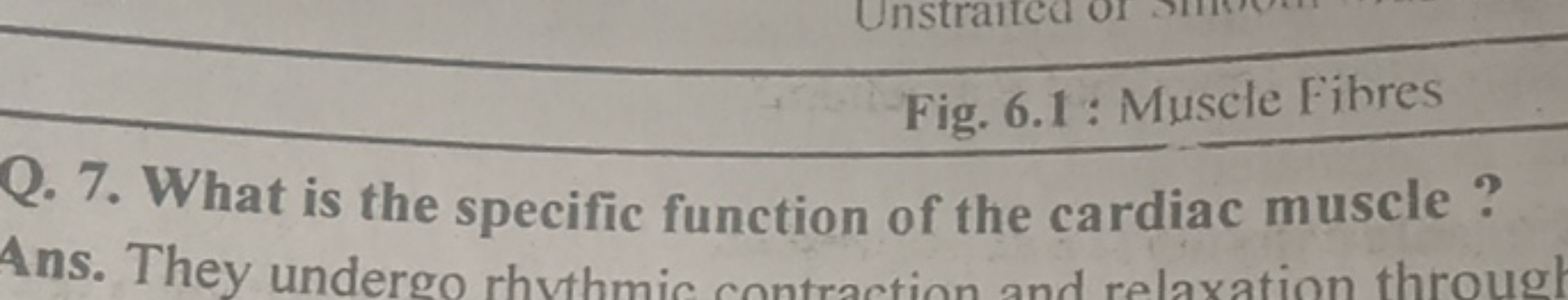 Fig. 6.1 : Muscle Fihres
Q. 7. What is the specific function of the ca