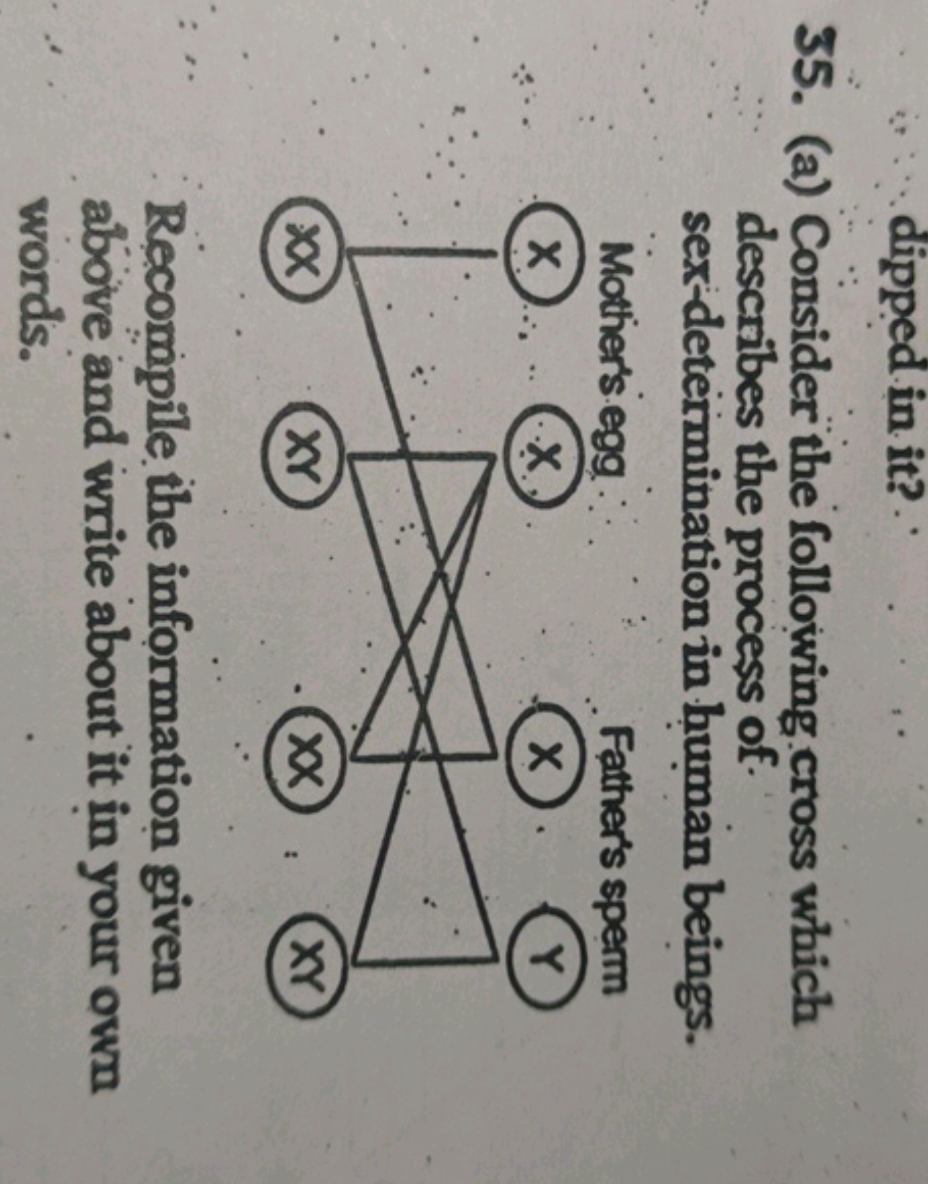 35. (a) Consider the following cross which describes the process of se