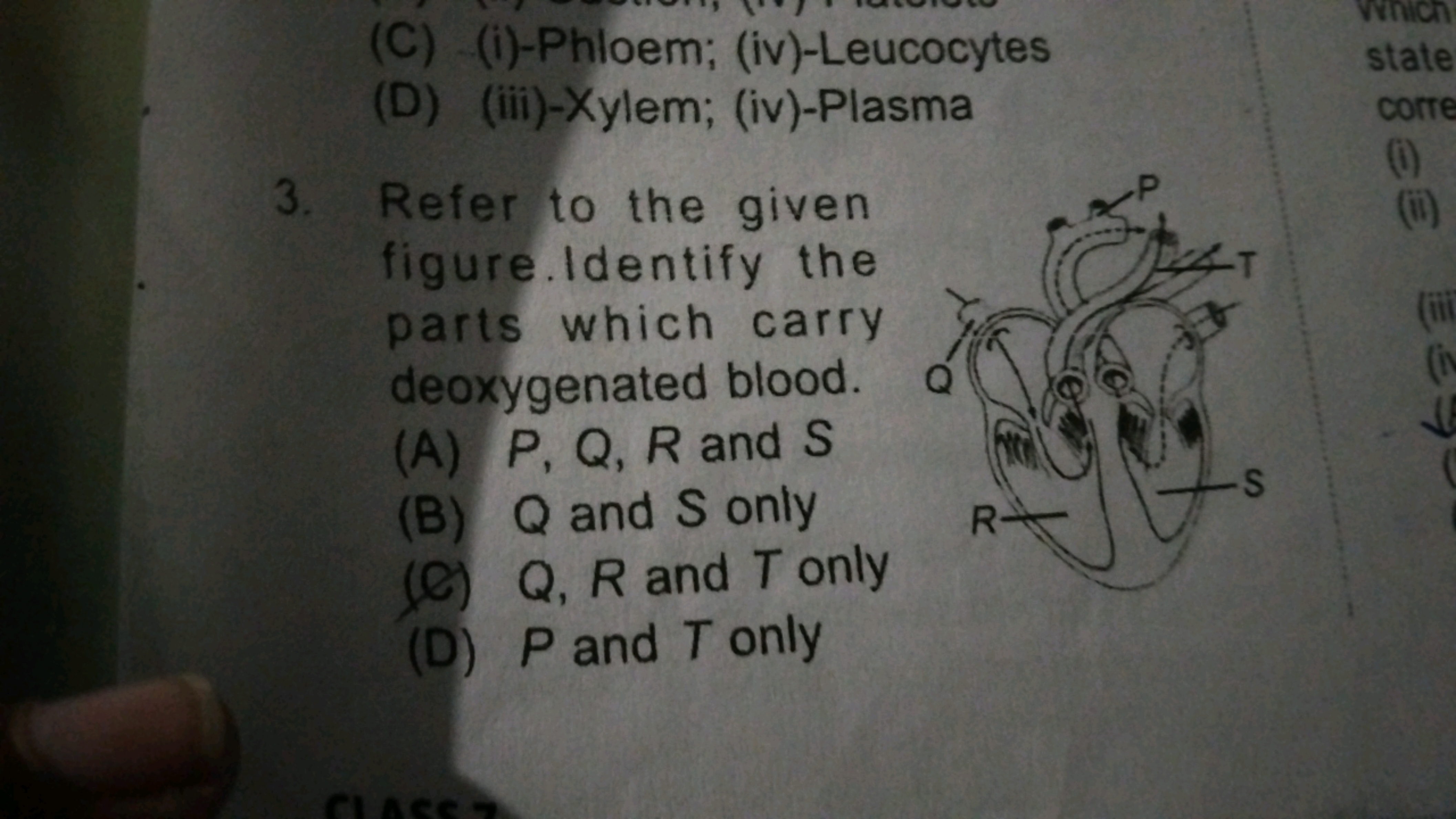 (C) (i)-Phloem; (iv)-Leucocytes
(D) (iii)-Xylem; (iv)-Plasma
3. Refer 