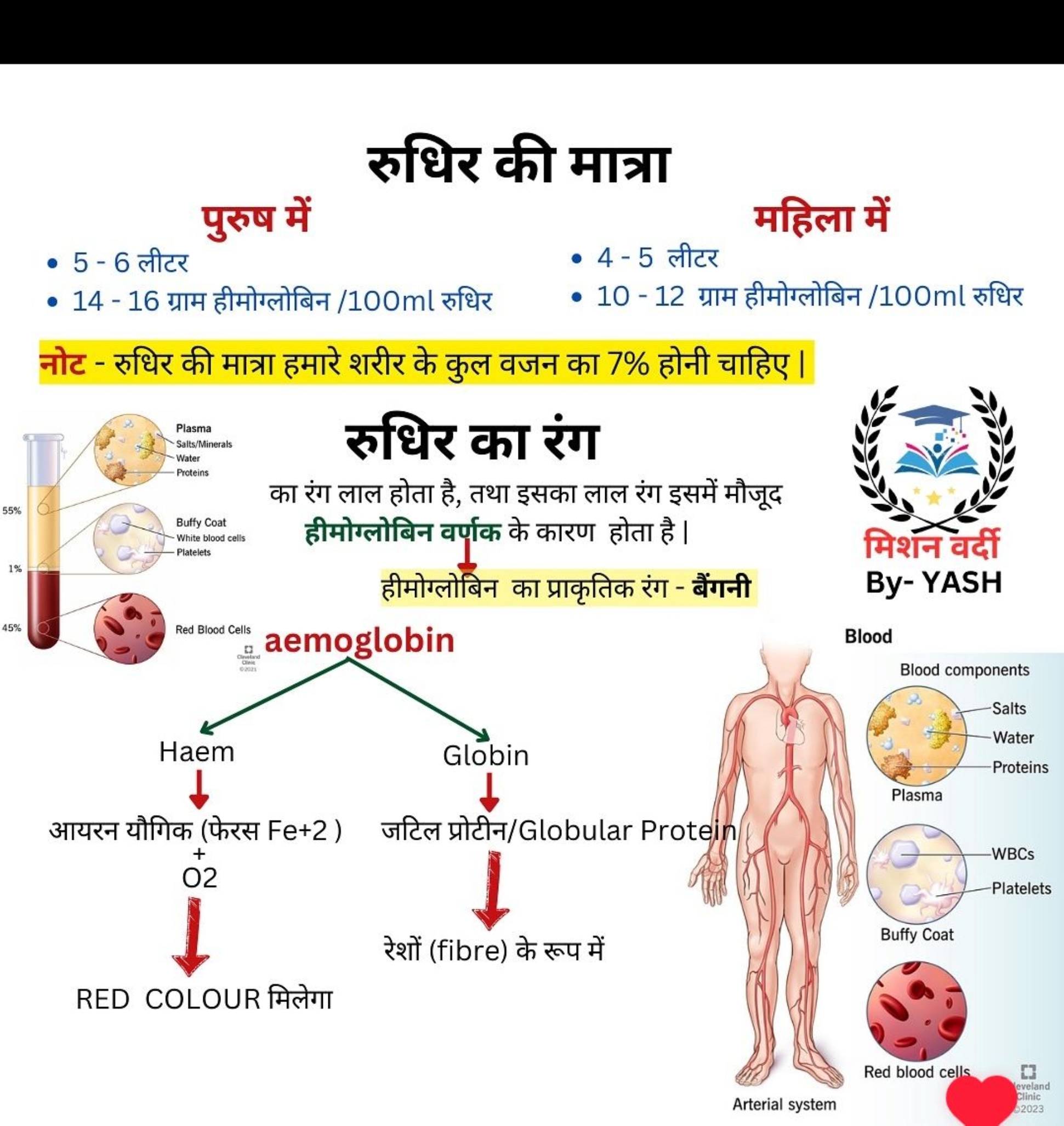 रुधिर की मात्रा
पुरुष में
- 5 - 6 लीटर
- 14 - 16 ग्राम हीमोग्लोबिन / 1