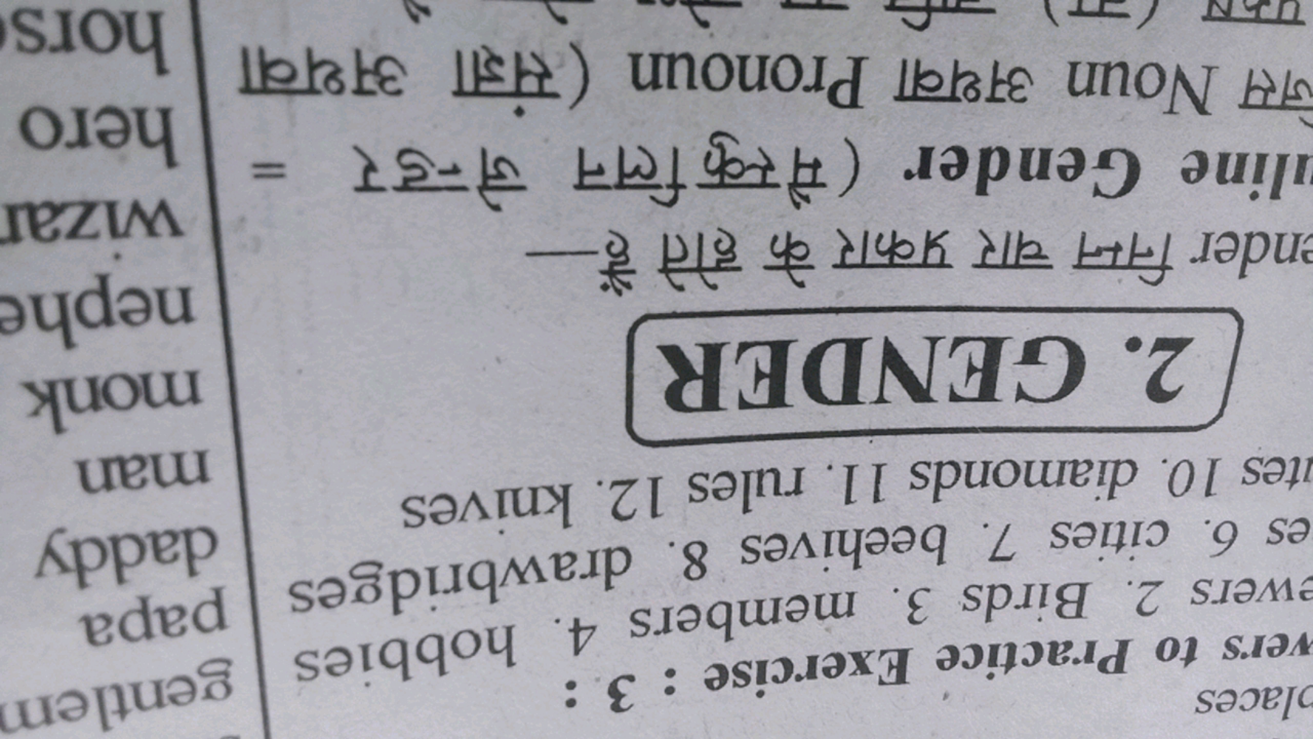 vers to Practice Exercise : 3: ewers 2. Birds 3. members 4. hobbies es